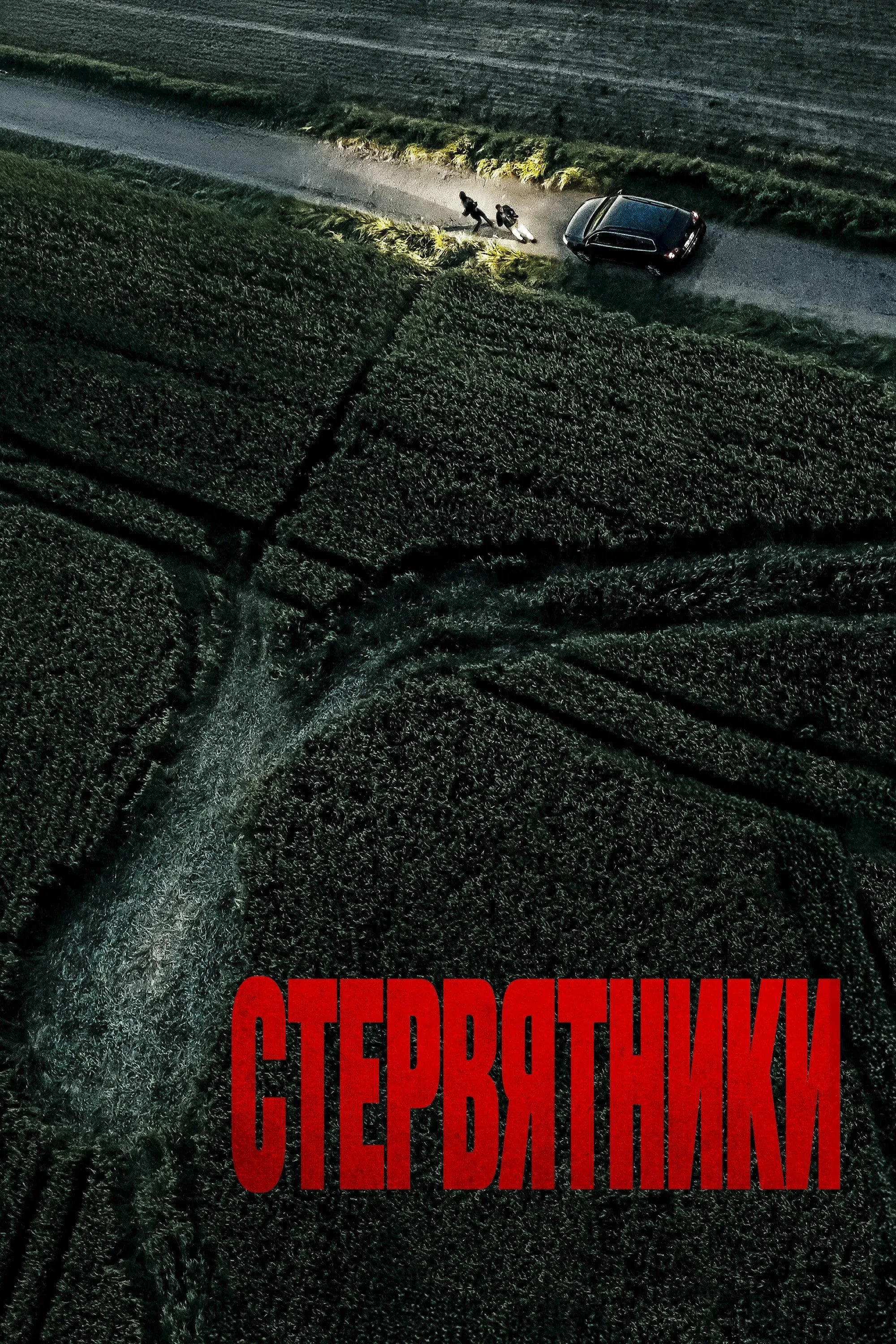 Постер фильма Стервятники