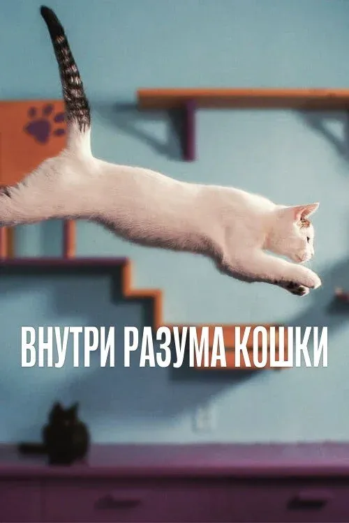 Постер фильма Внутри разума кошки