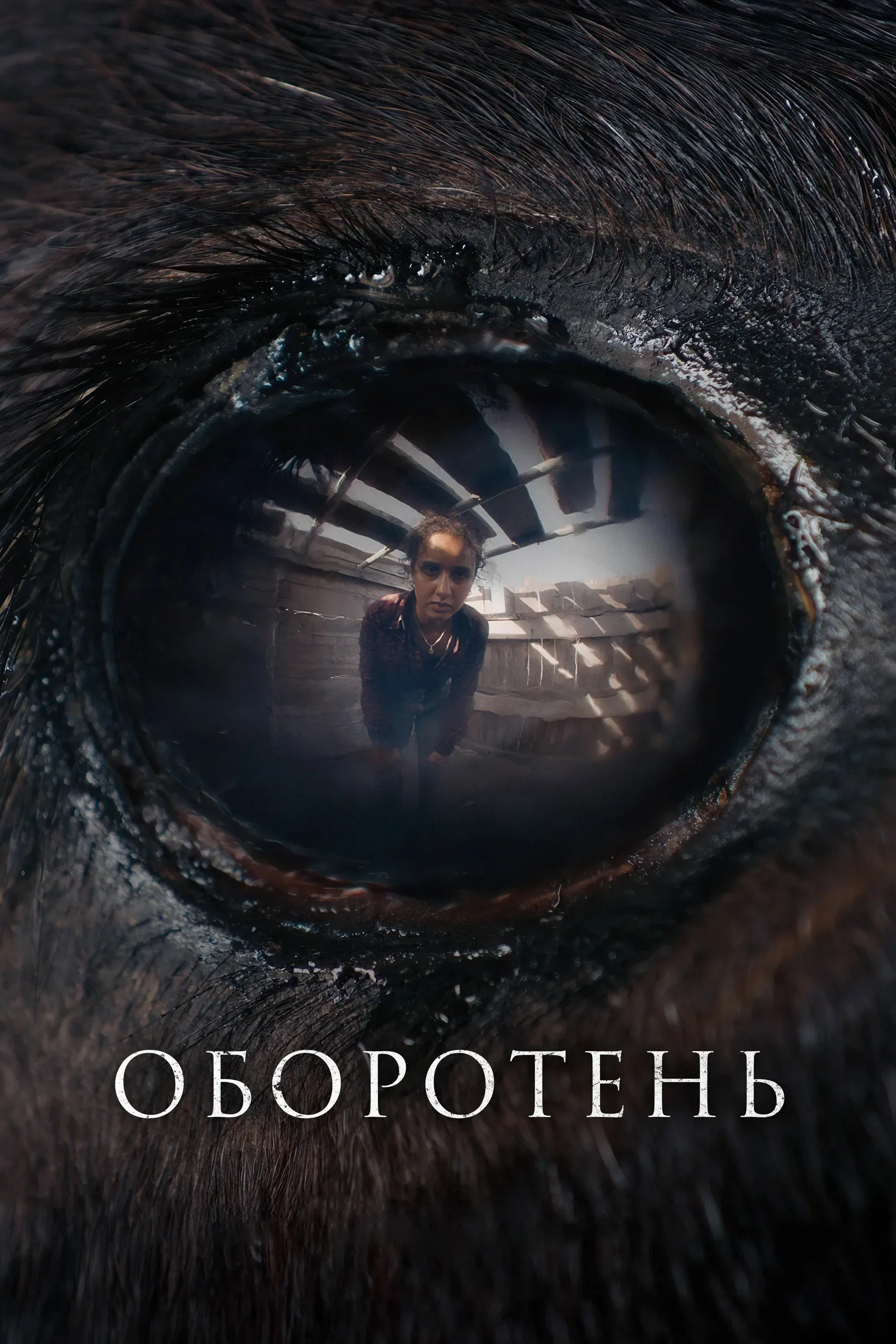 Постер фильма Оборотень