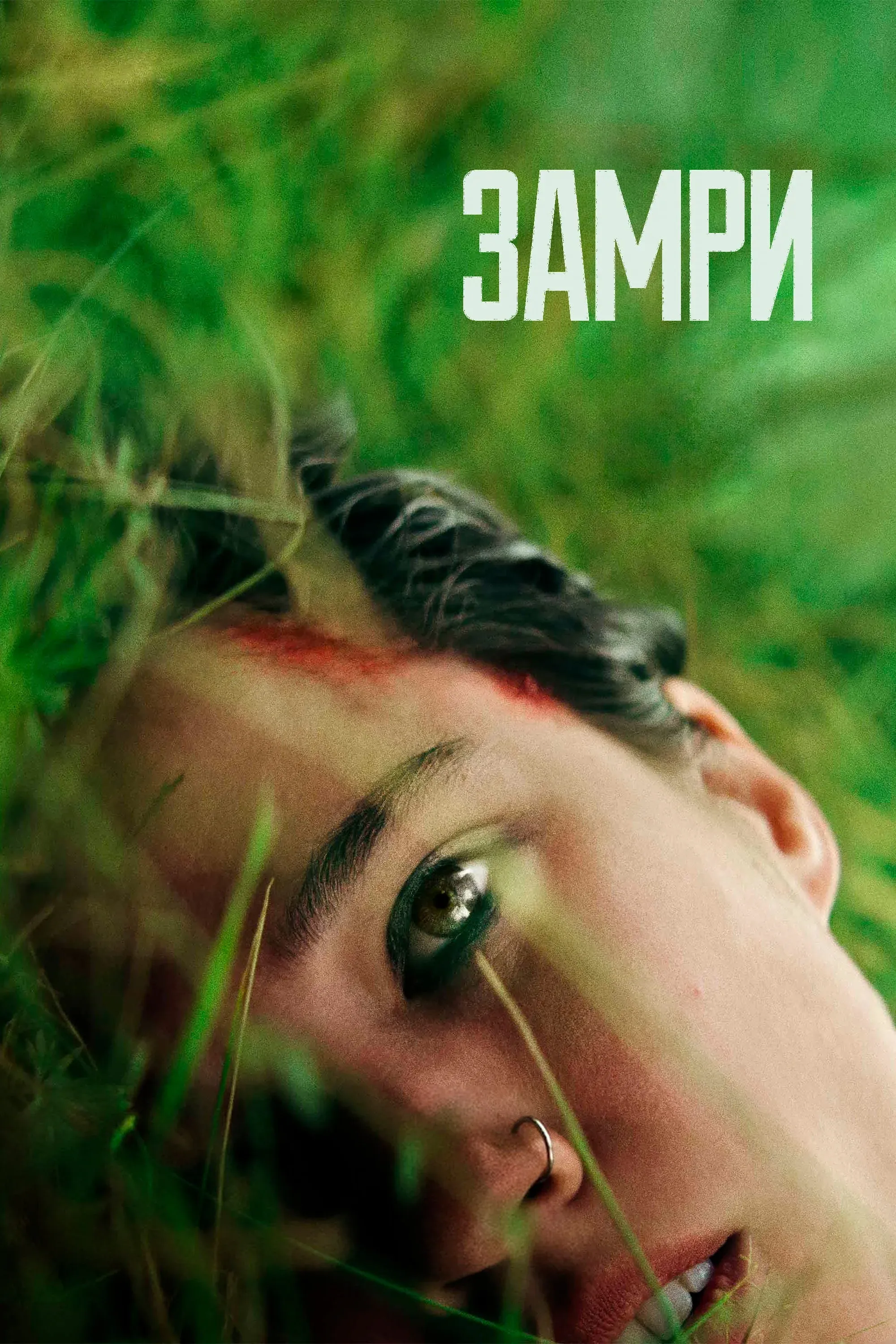 Постер фильма Замри