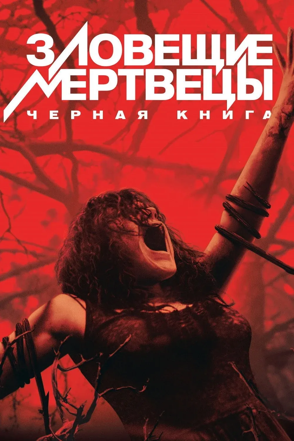 Постер фильма Зловещие мертвецы: Черная книга