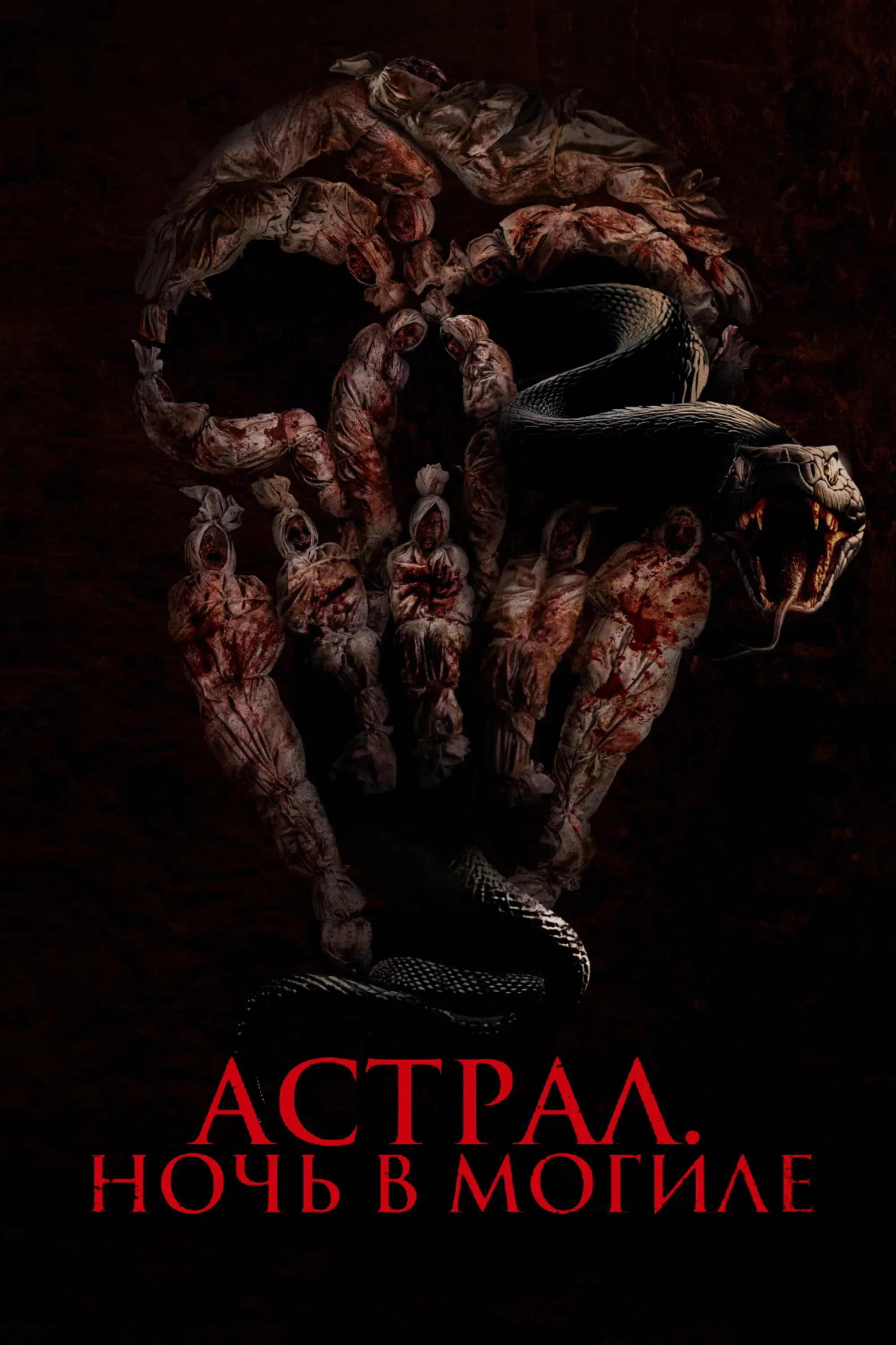 Постер фильма Астрал. Ночь в могиле