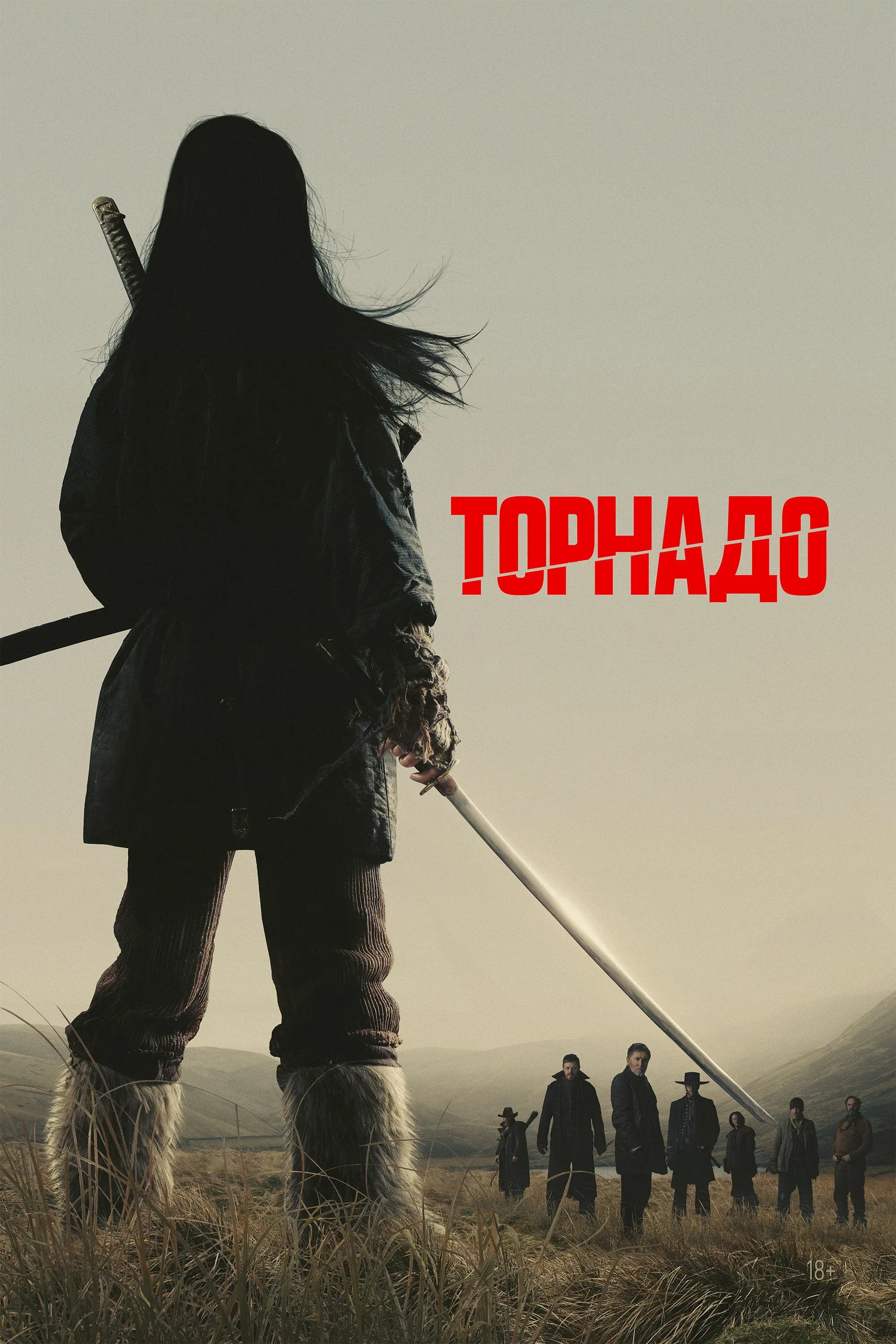 Постер фильма Торнадо