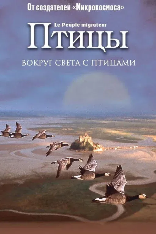 Постер фильма Птицы