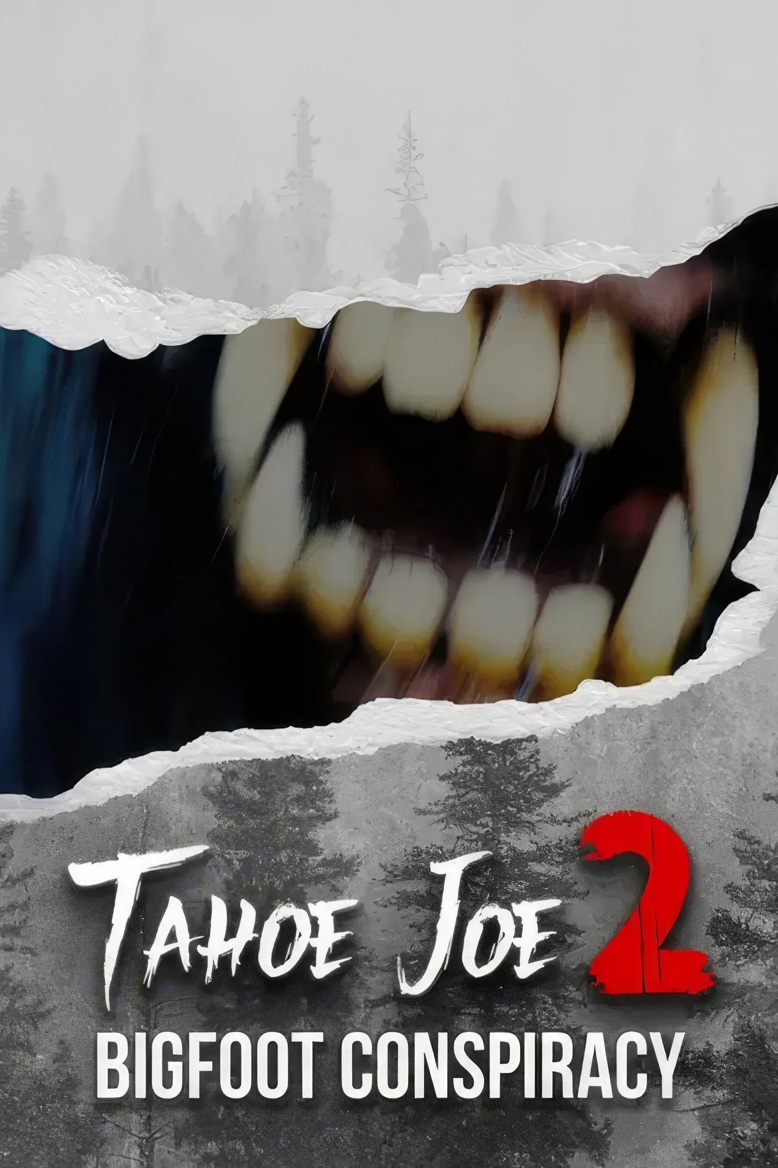Постер фильма Тахо Джо 2