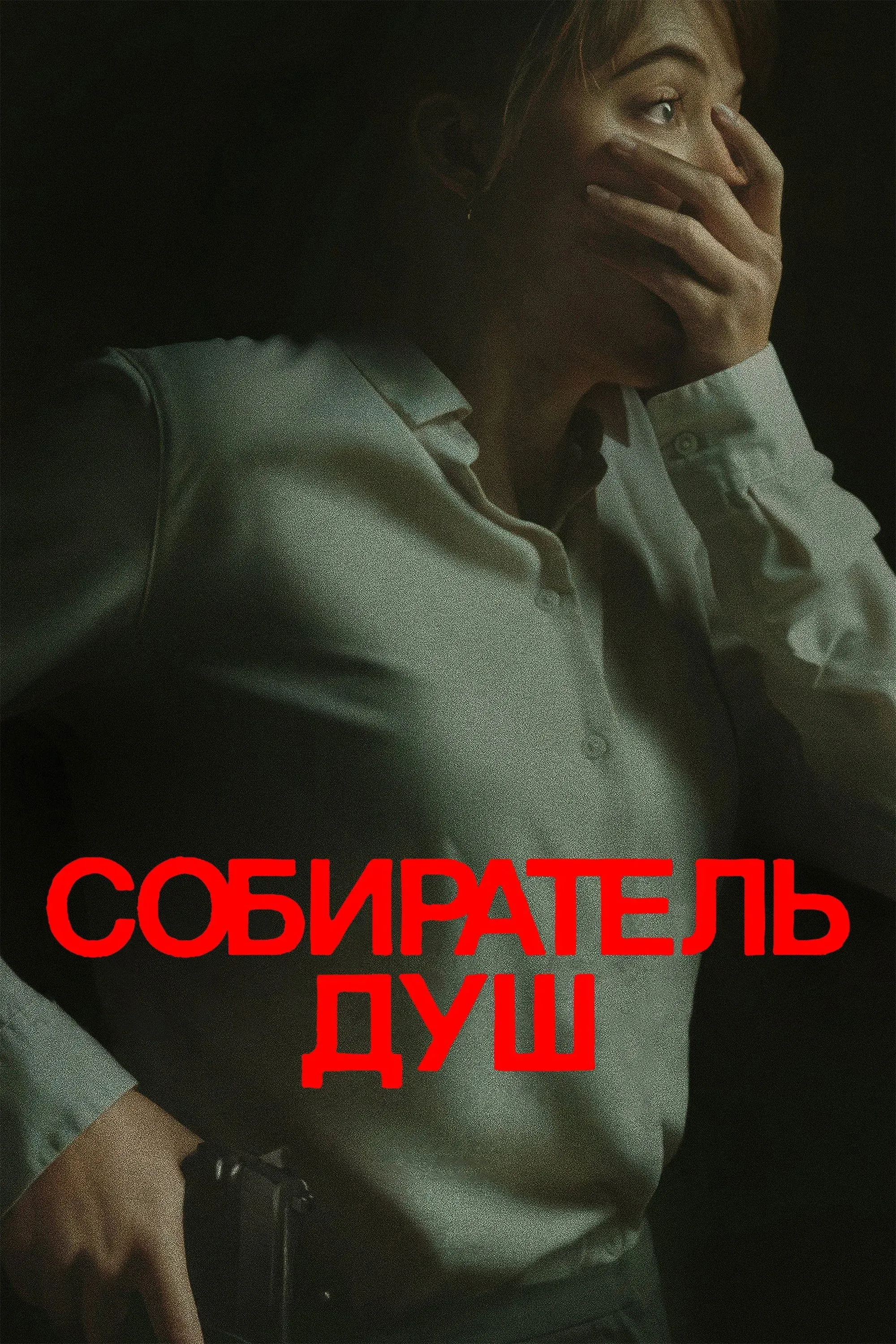 Постер фильма Собиратель душ