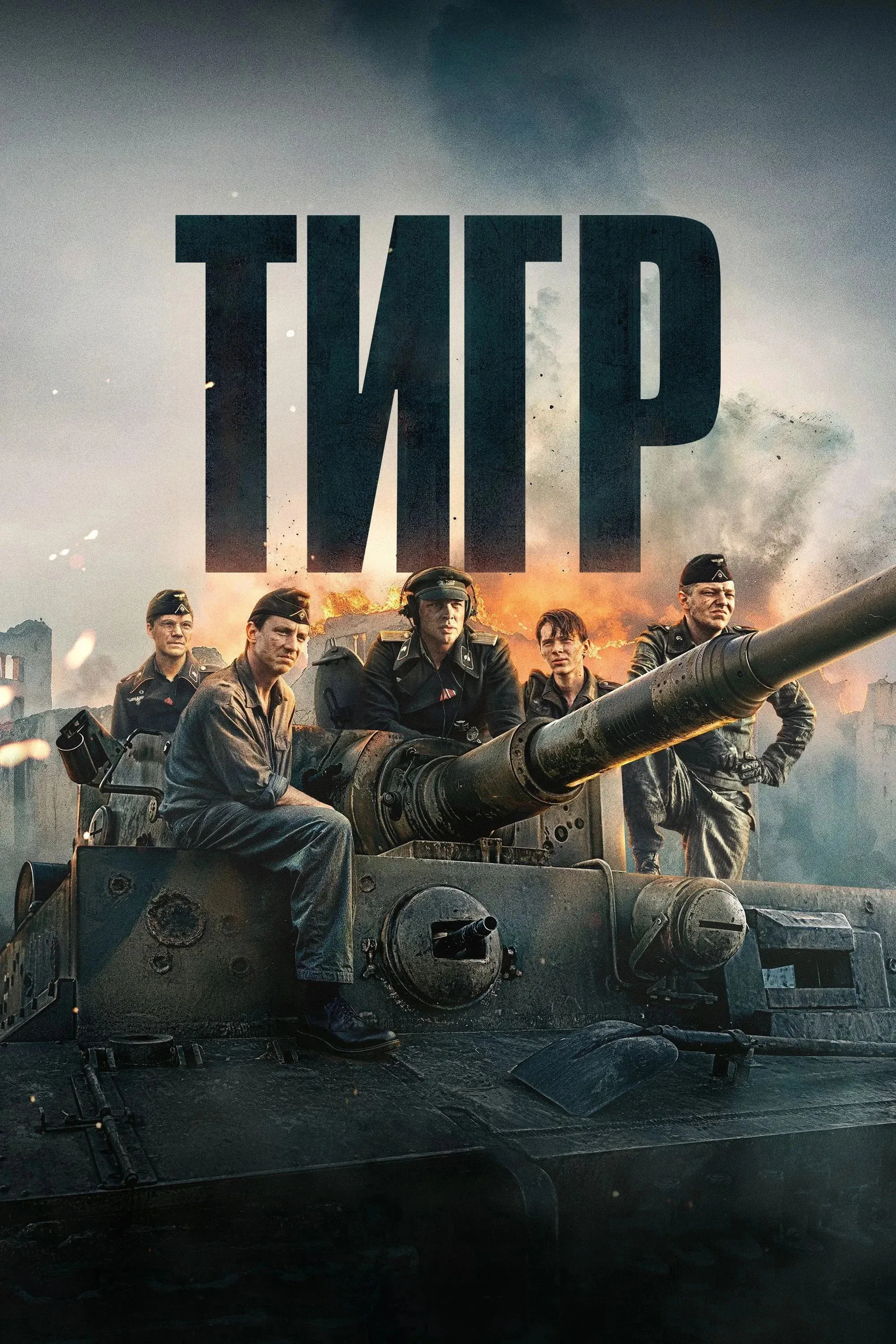 Постер фильма Тигр
