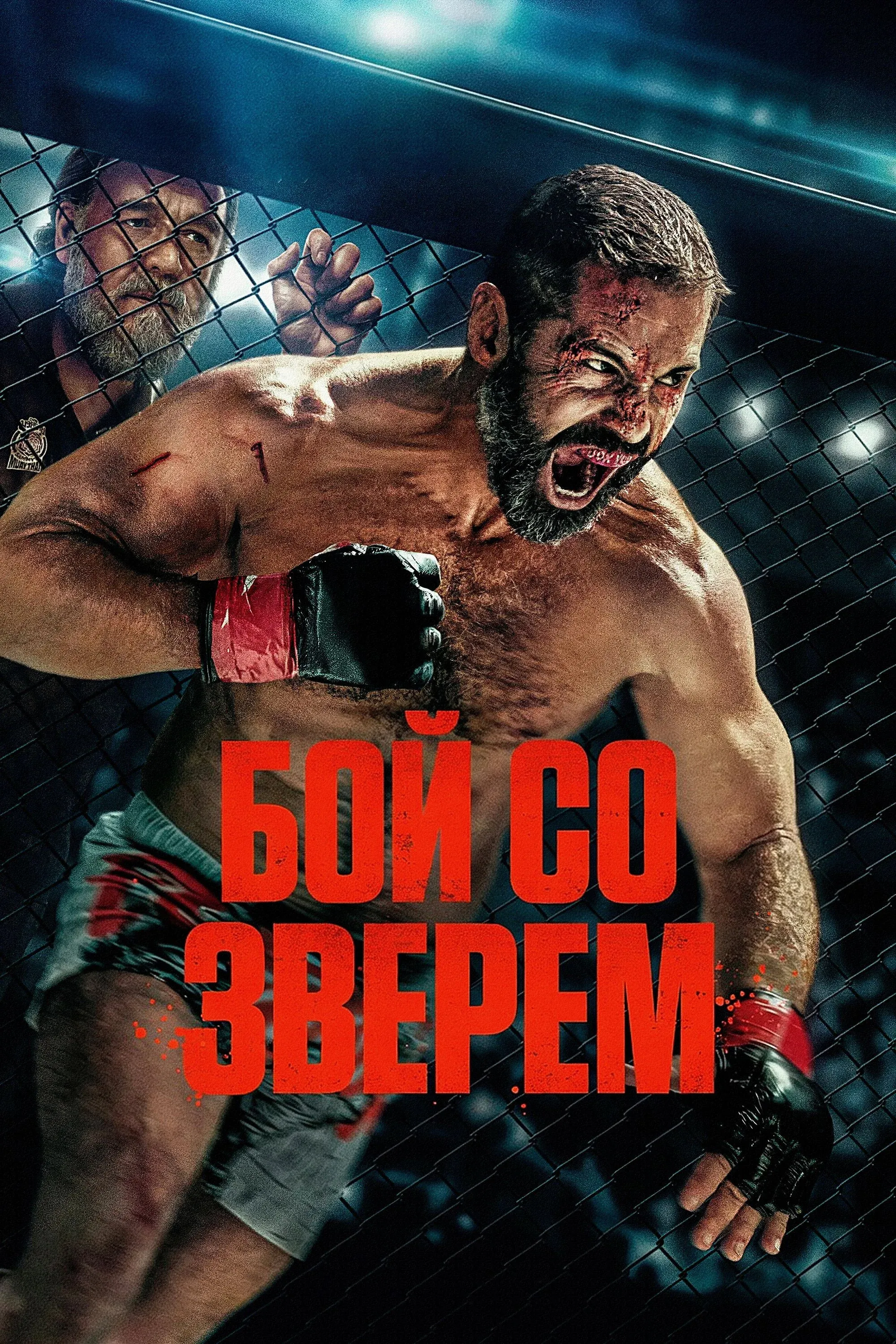 Постер фильма Бой со зверем