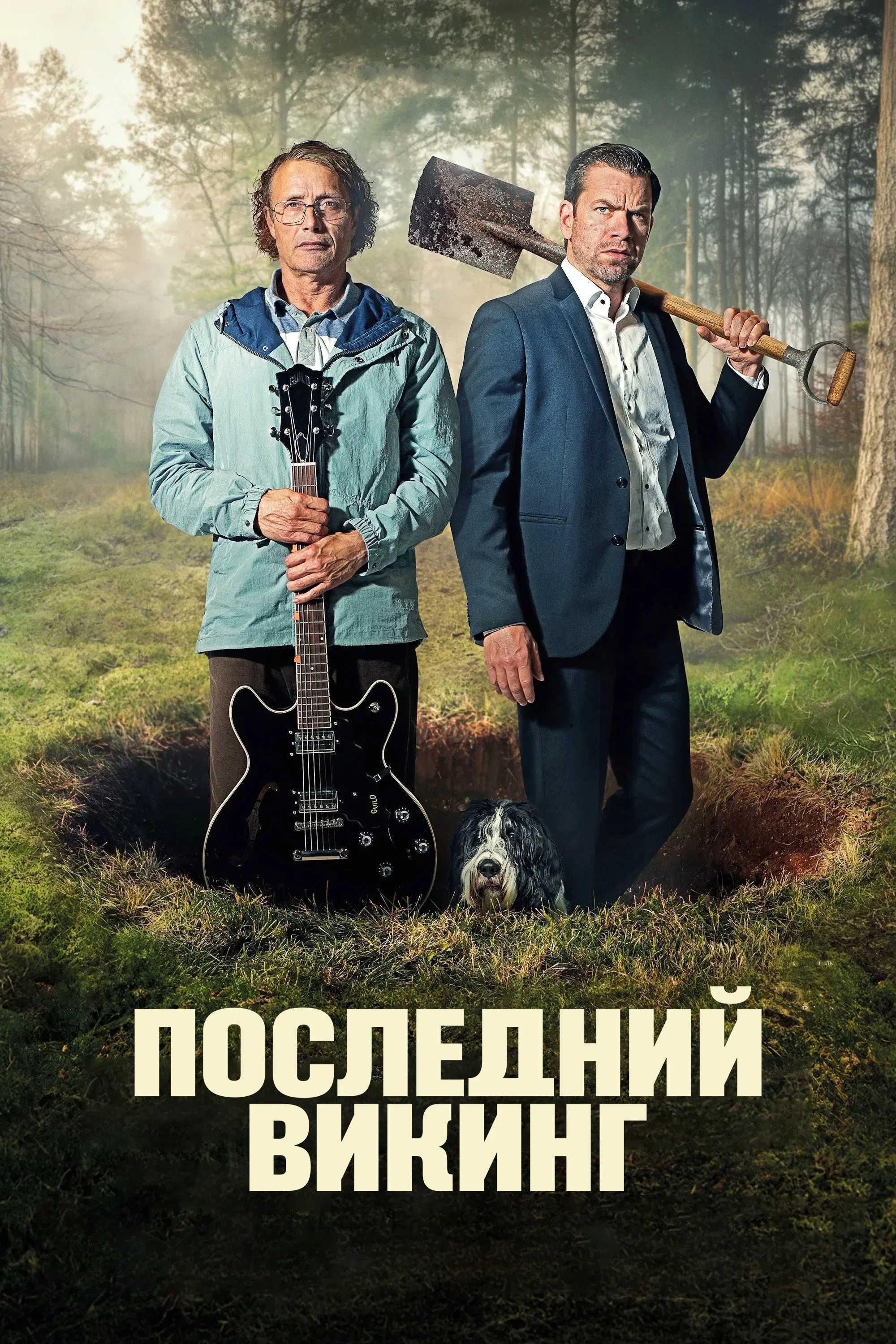 Постер фильма Последний викинг