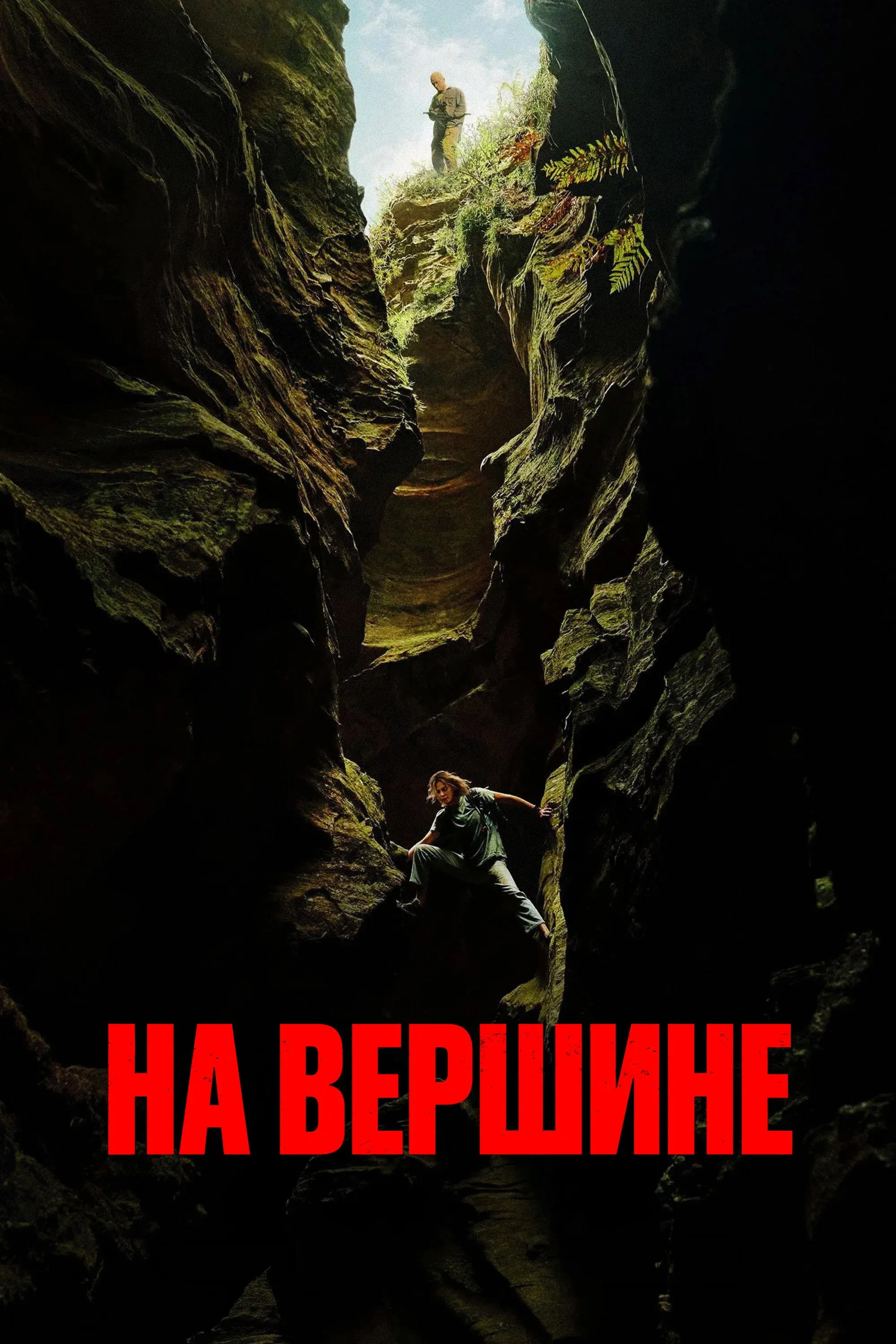 Постер фильма На вершине