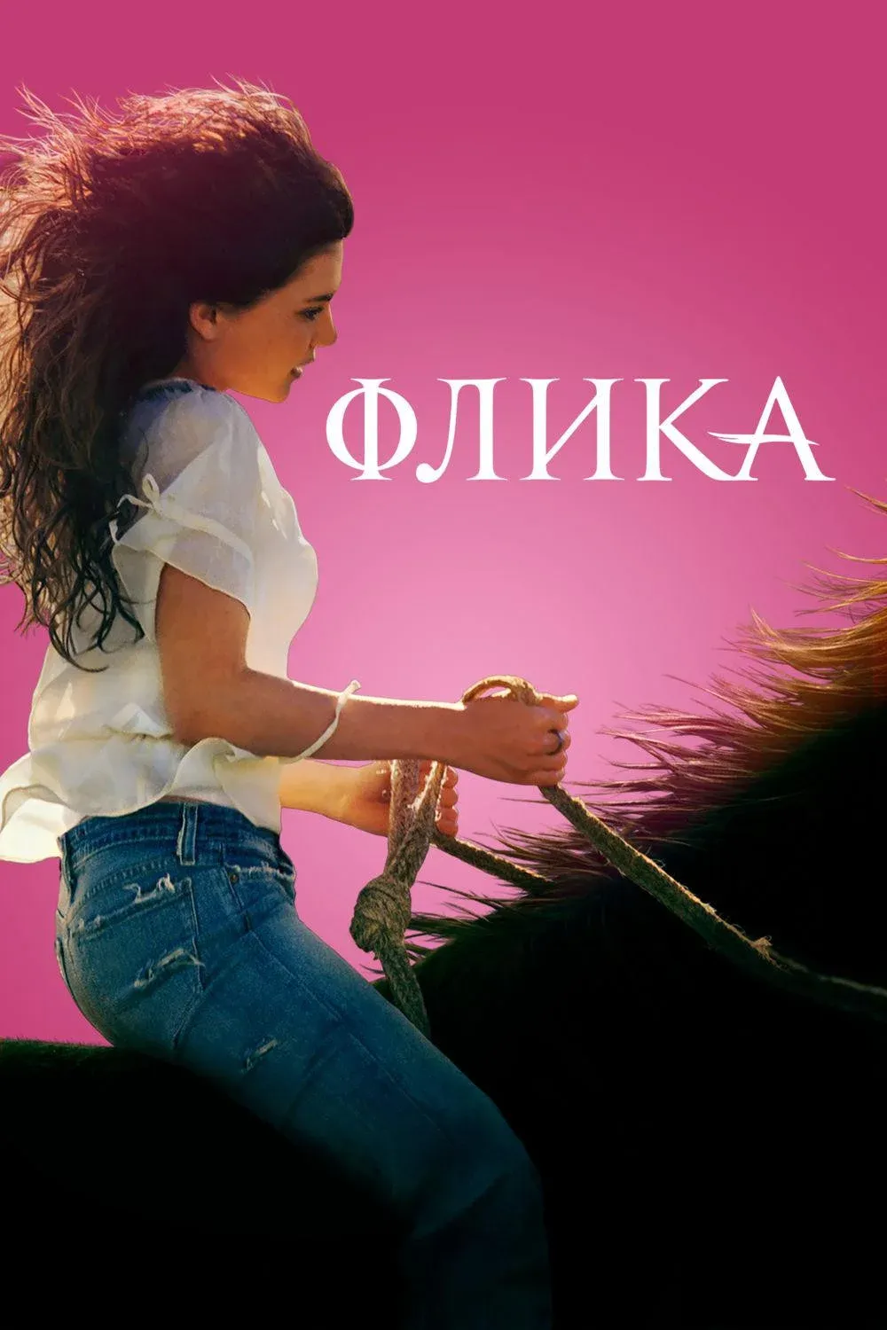 Постер фильма Флика