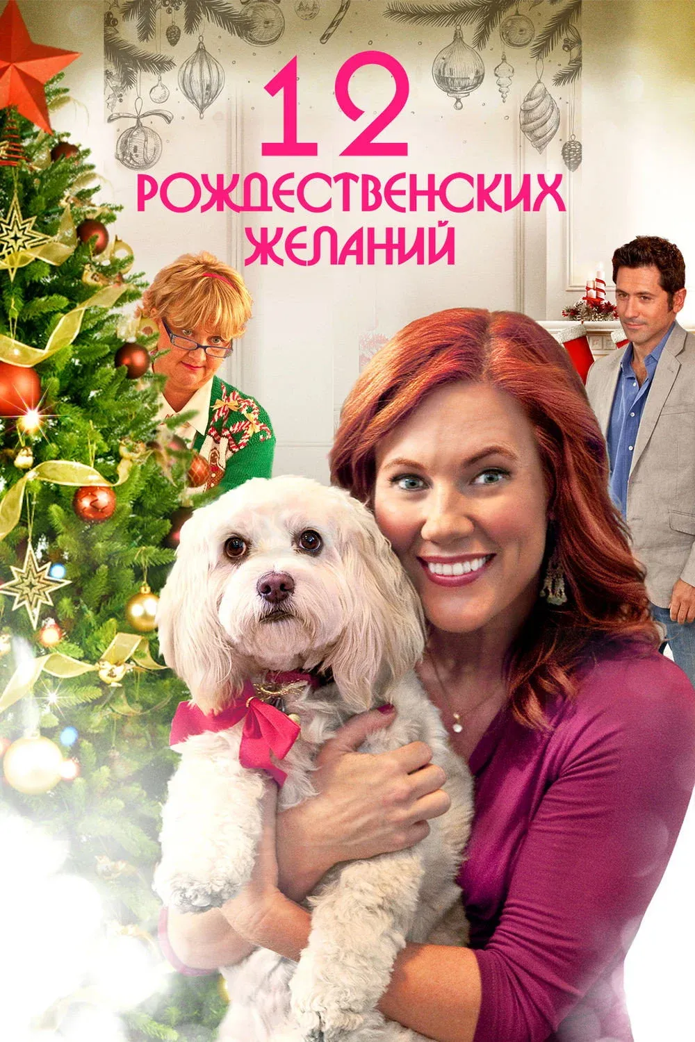 Постер фильма 12 Рождественских желаний
