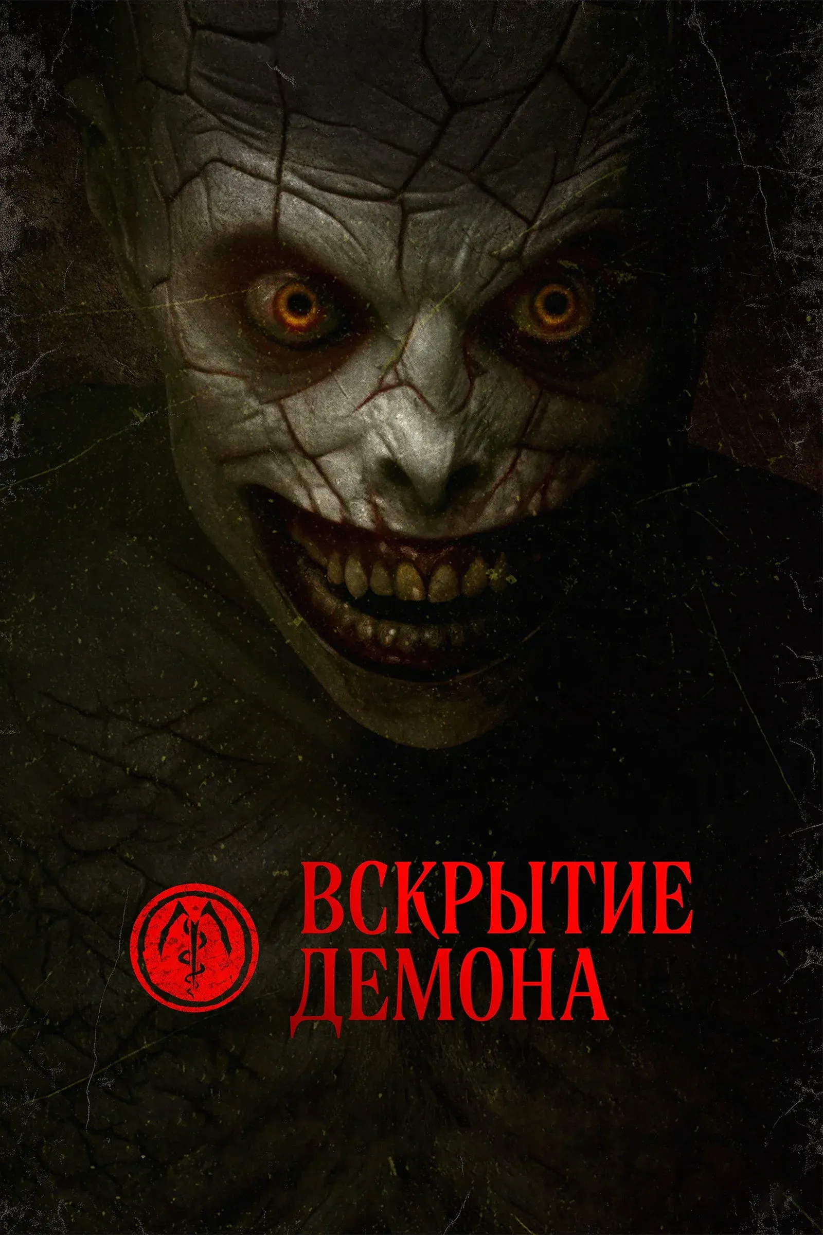 Постер фильма Ассистент в морге