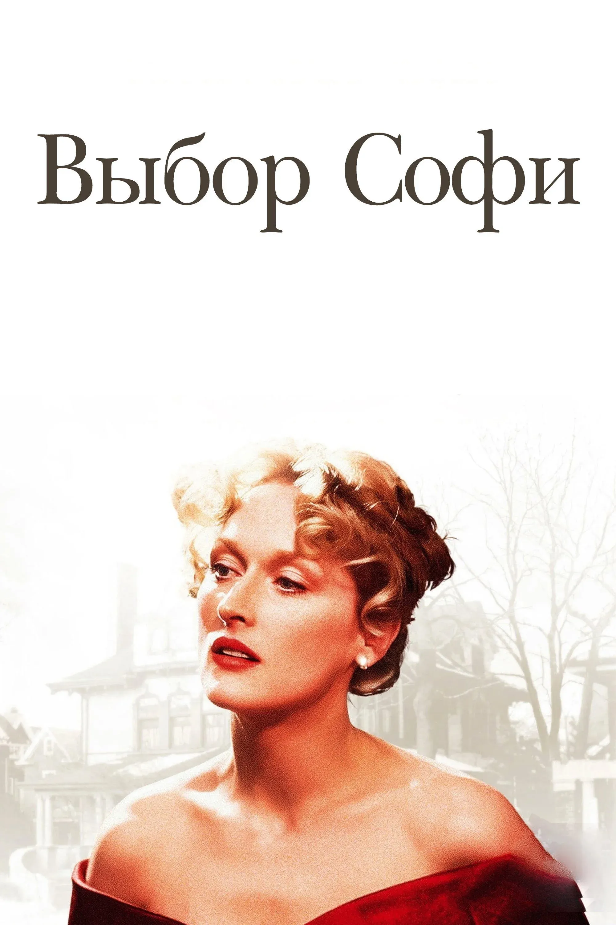 Постер фильма Выбор Софи