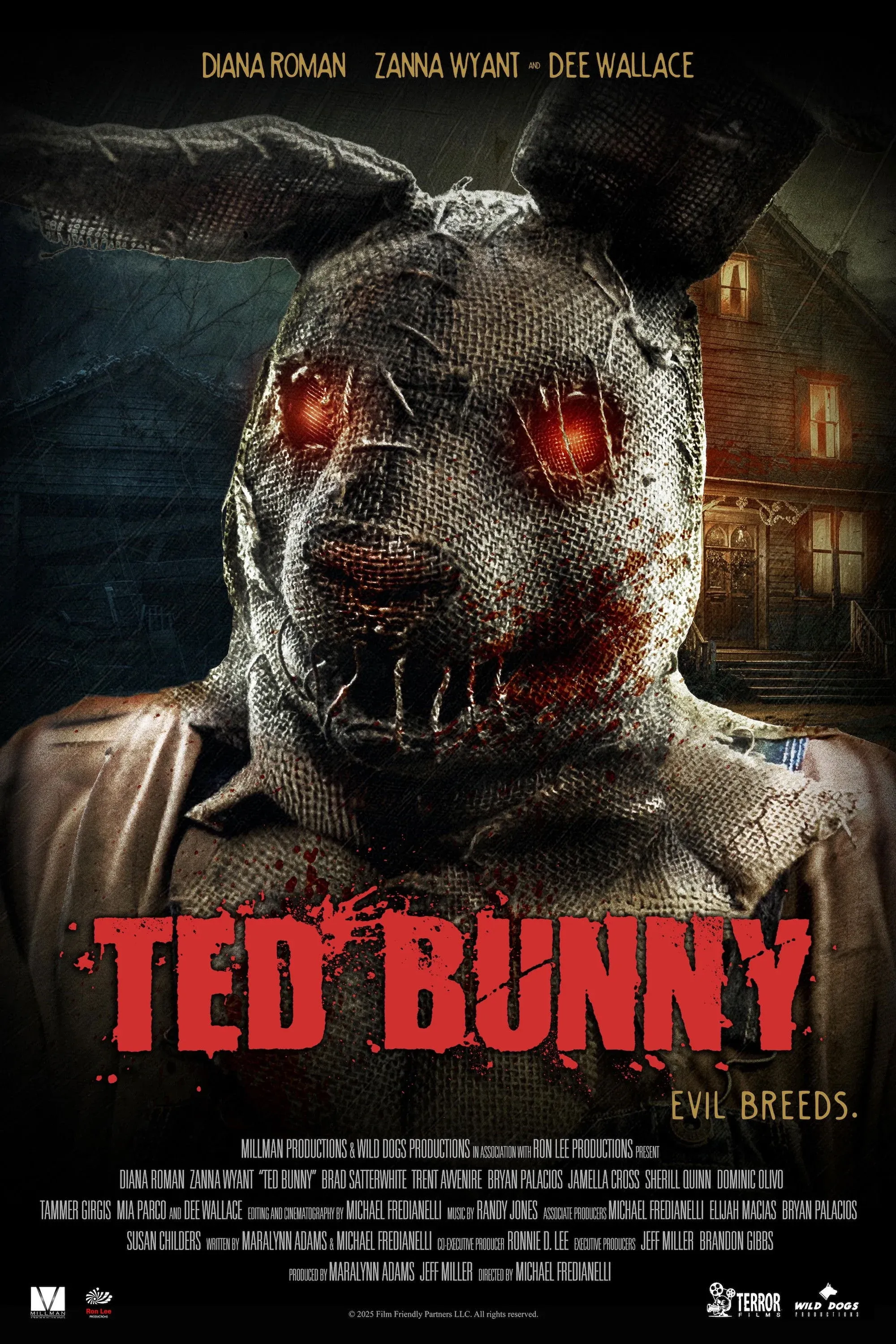 Постер фильма Ted Bunny