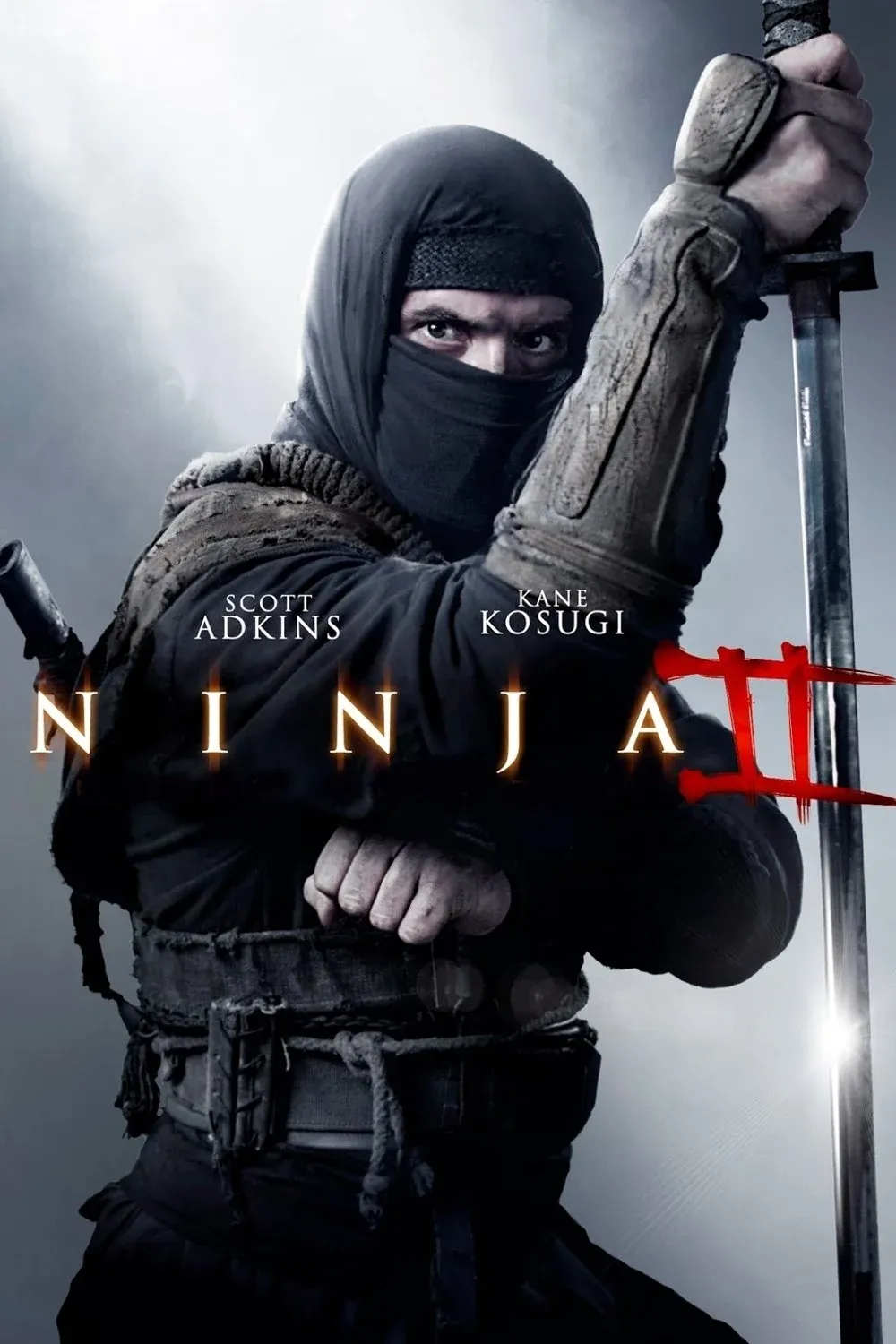 Постер фильма Ниндзя 2