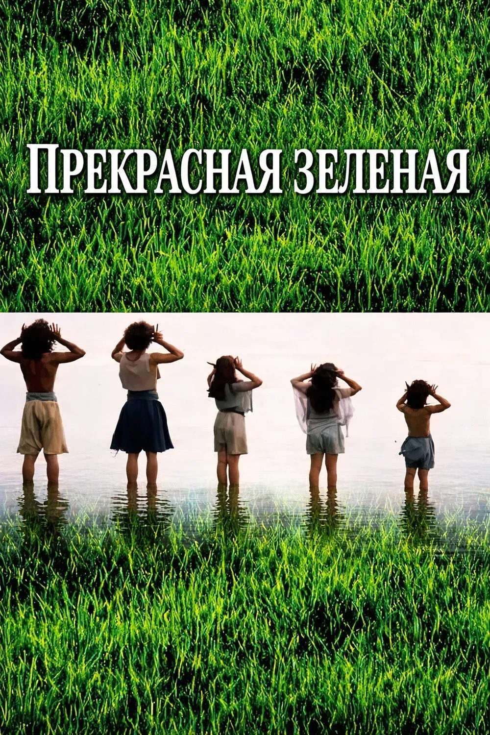 Постер фильма Прекрасная зелёная