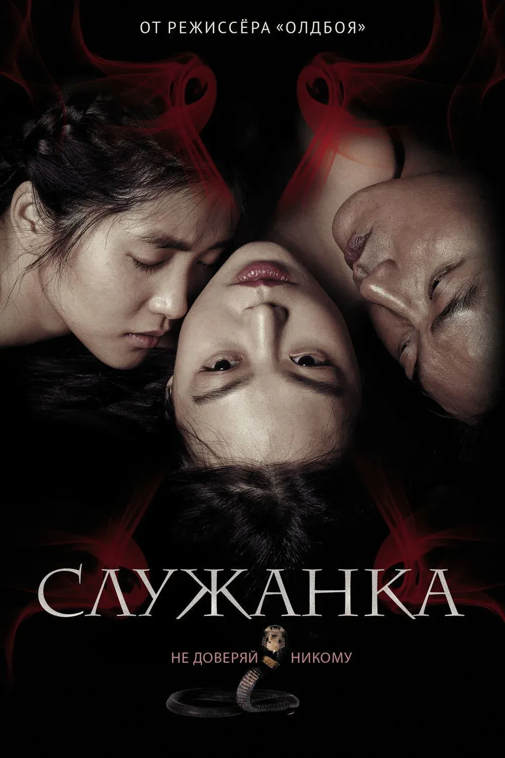 Постер фильма Служанка