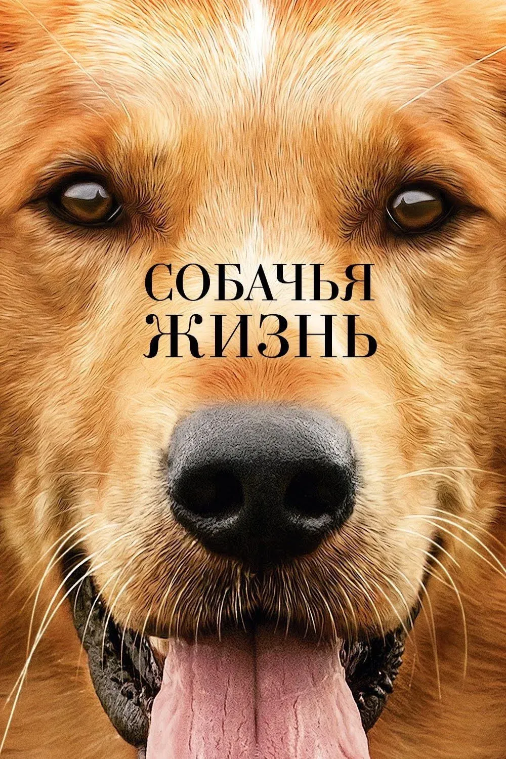 Постер фильма Собачья жизнь