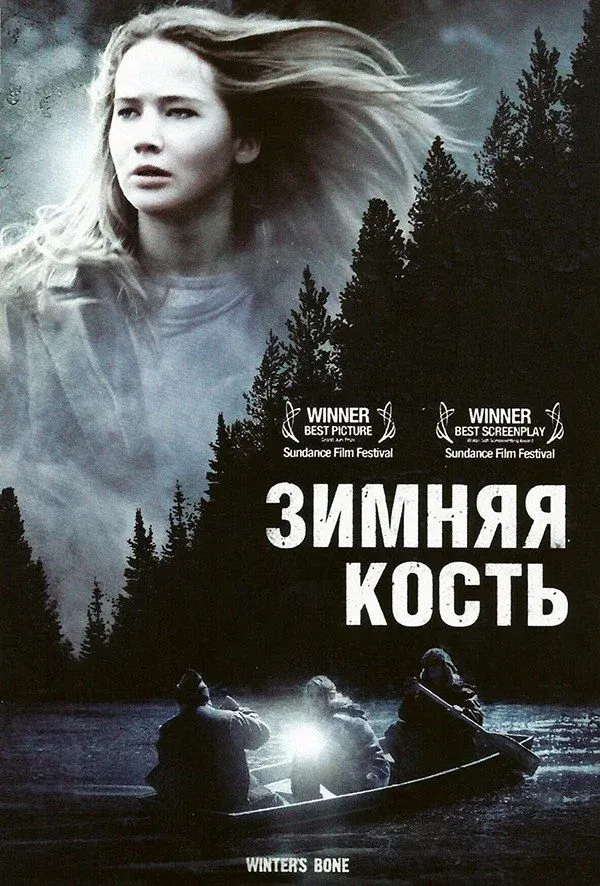 Постер фильма Зимняя кость