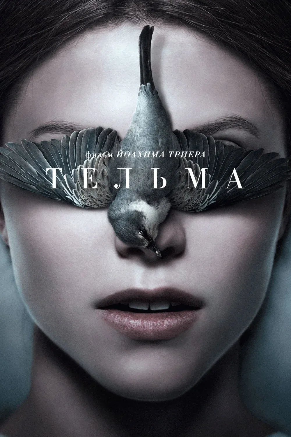 Постер фильма Тельма
