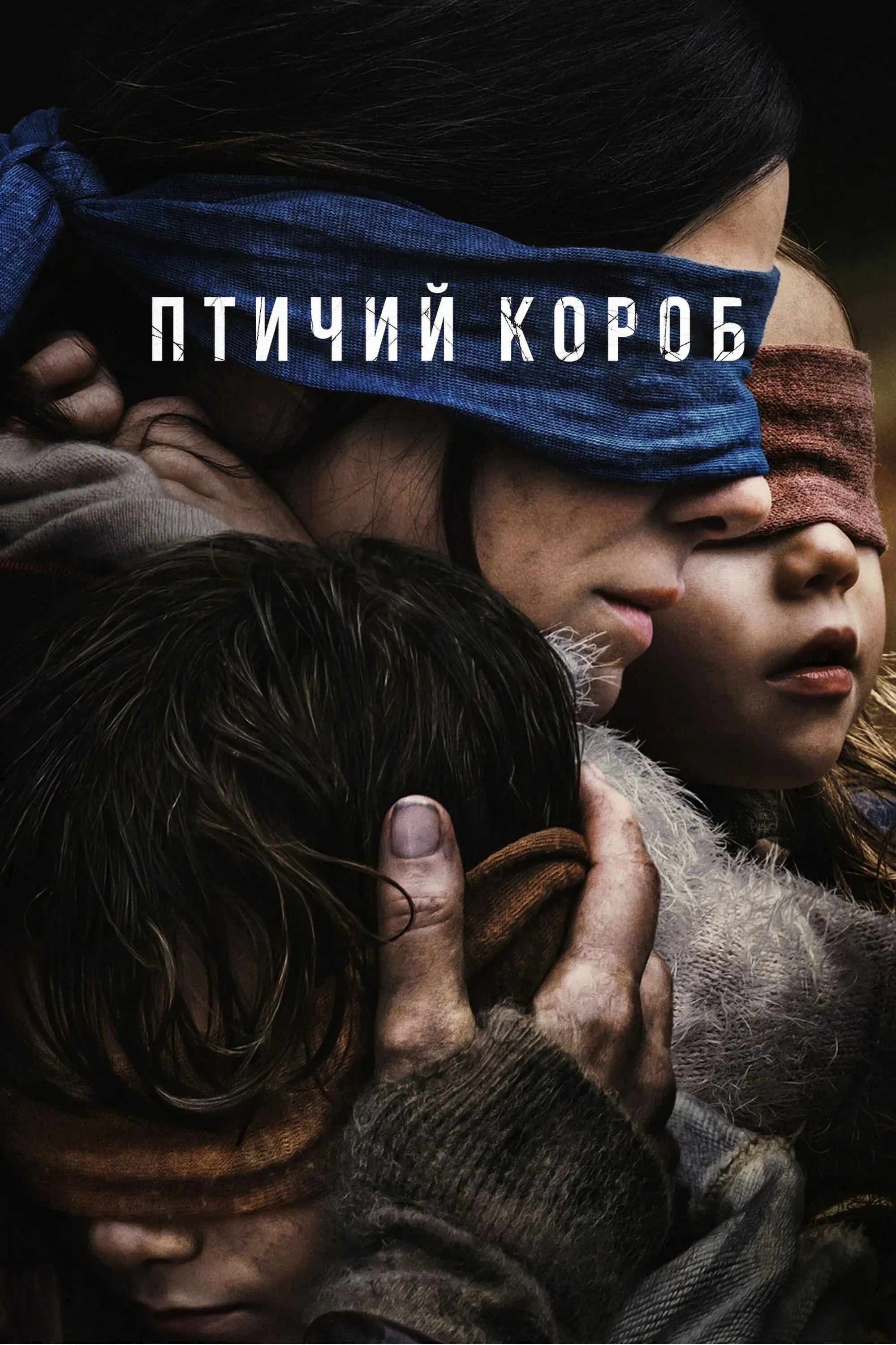 Постер фильма Птичий короб