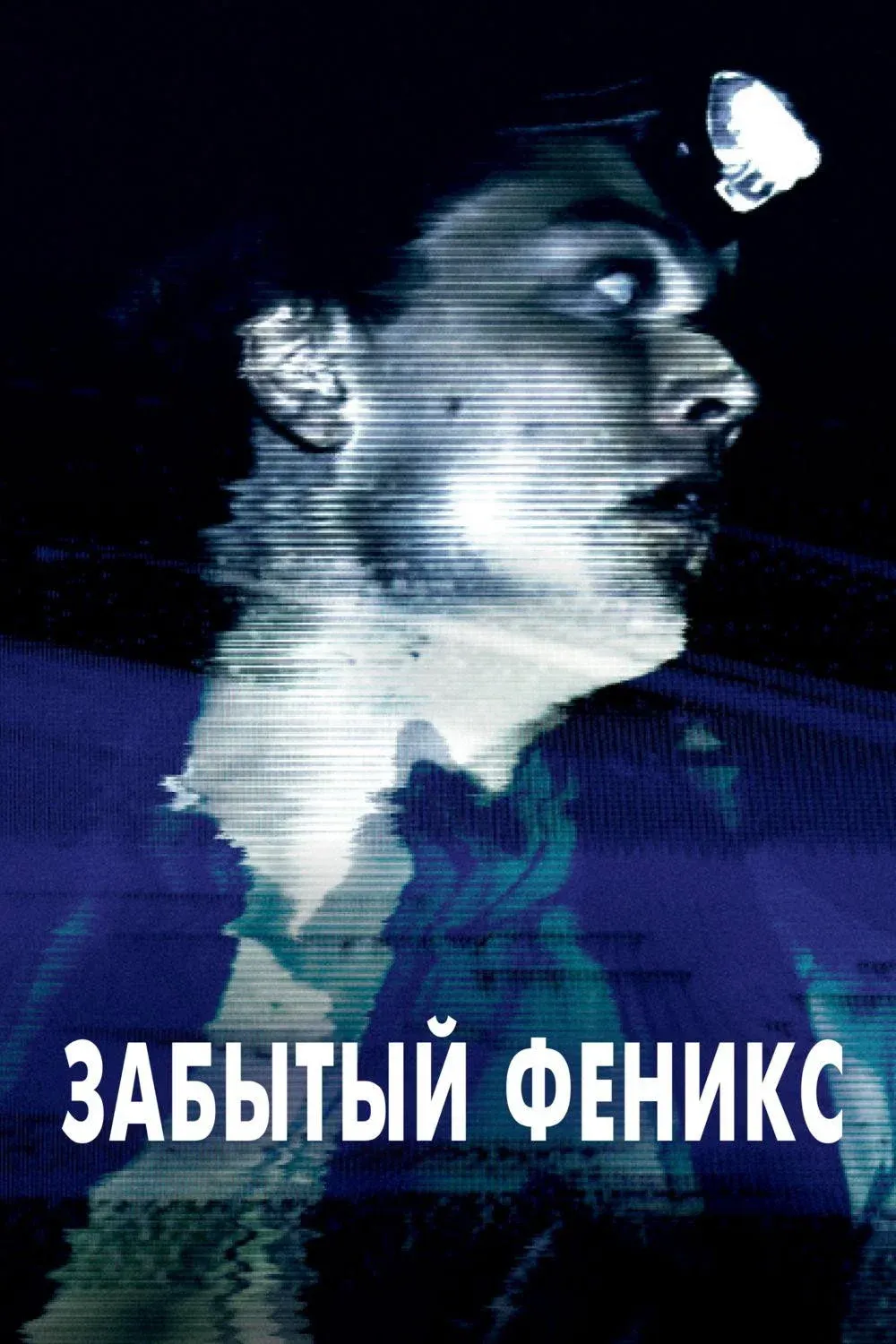 Постер фильма Забытый Феникс