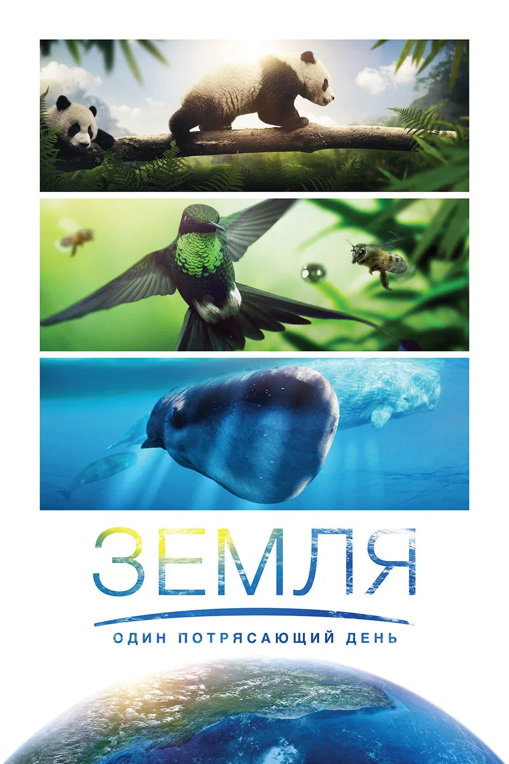 Постер фильма Земля: Один потрясающий день