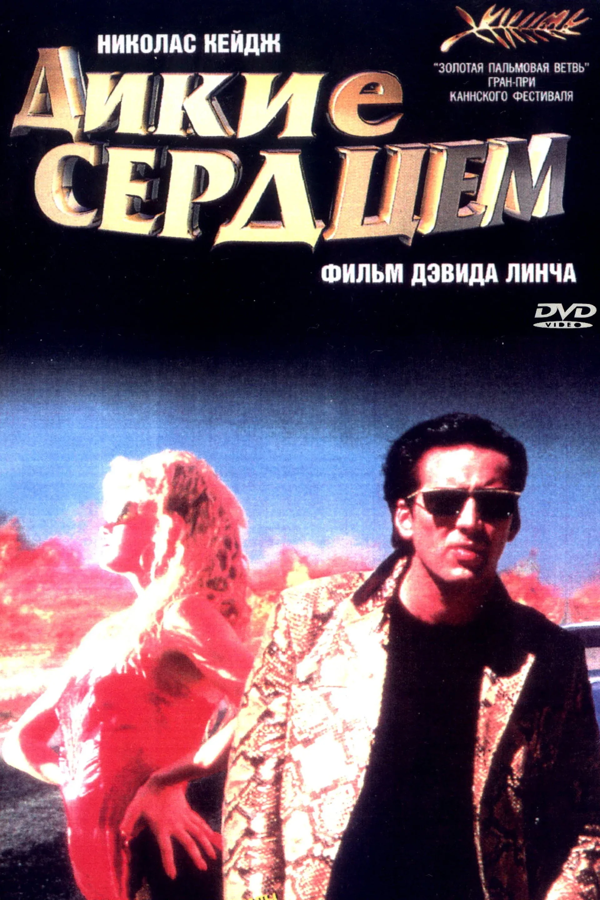 Постер фильма Дикие сердцем