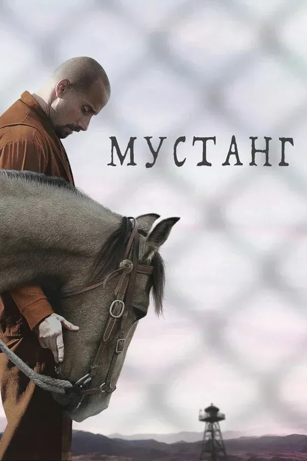 Постер фильма Мустанг