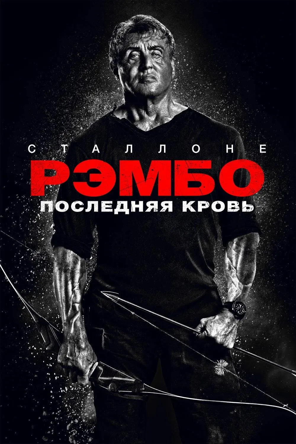 Постер фильма Рэмбо: Последняя кровь