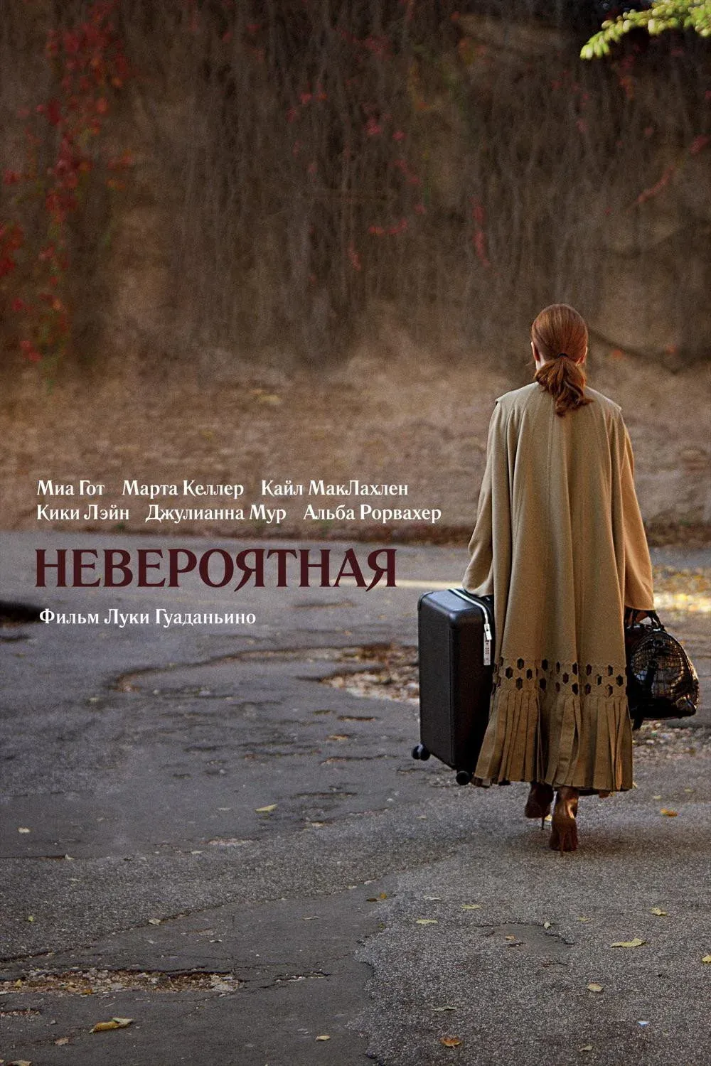 Постер фильма Невероятная