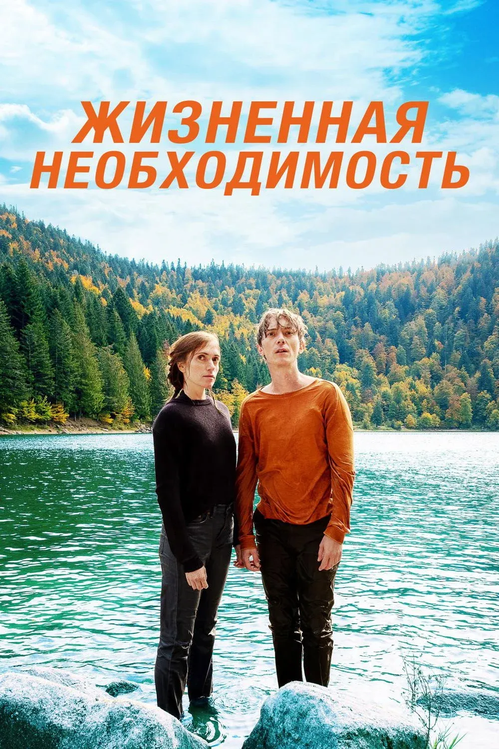 Постер фильма Жизненная необходимость