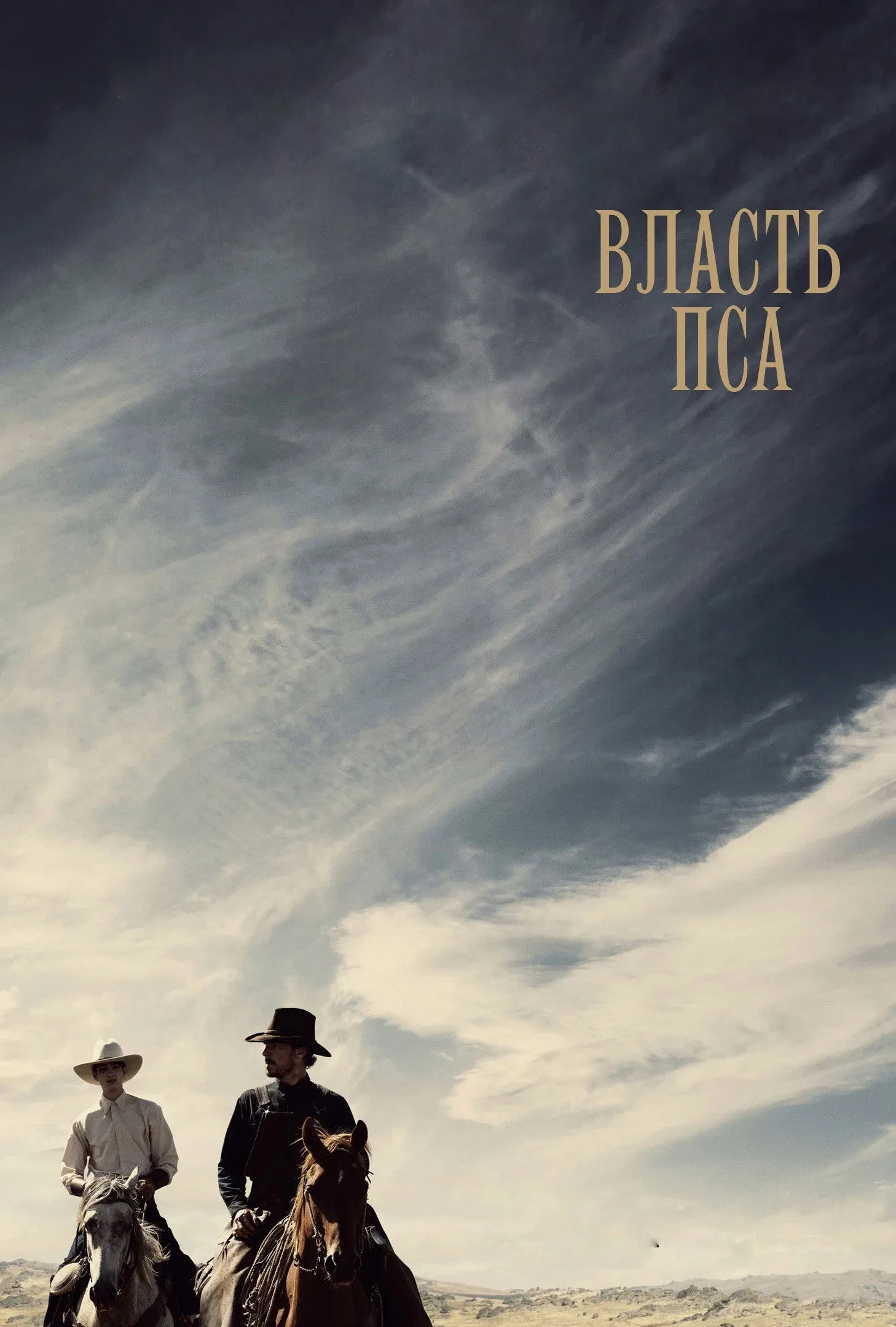 Постер фильма Власть пса