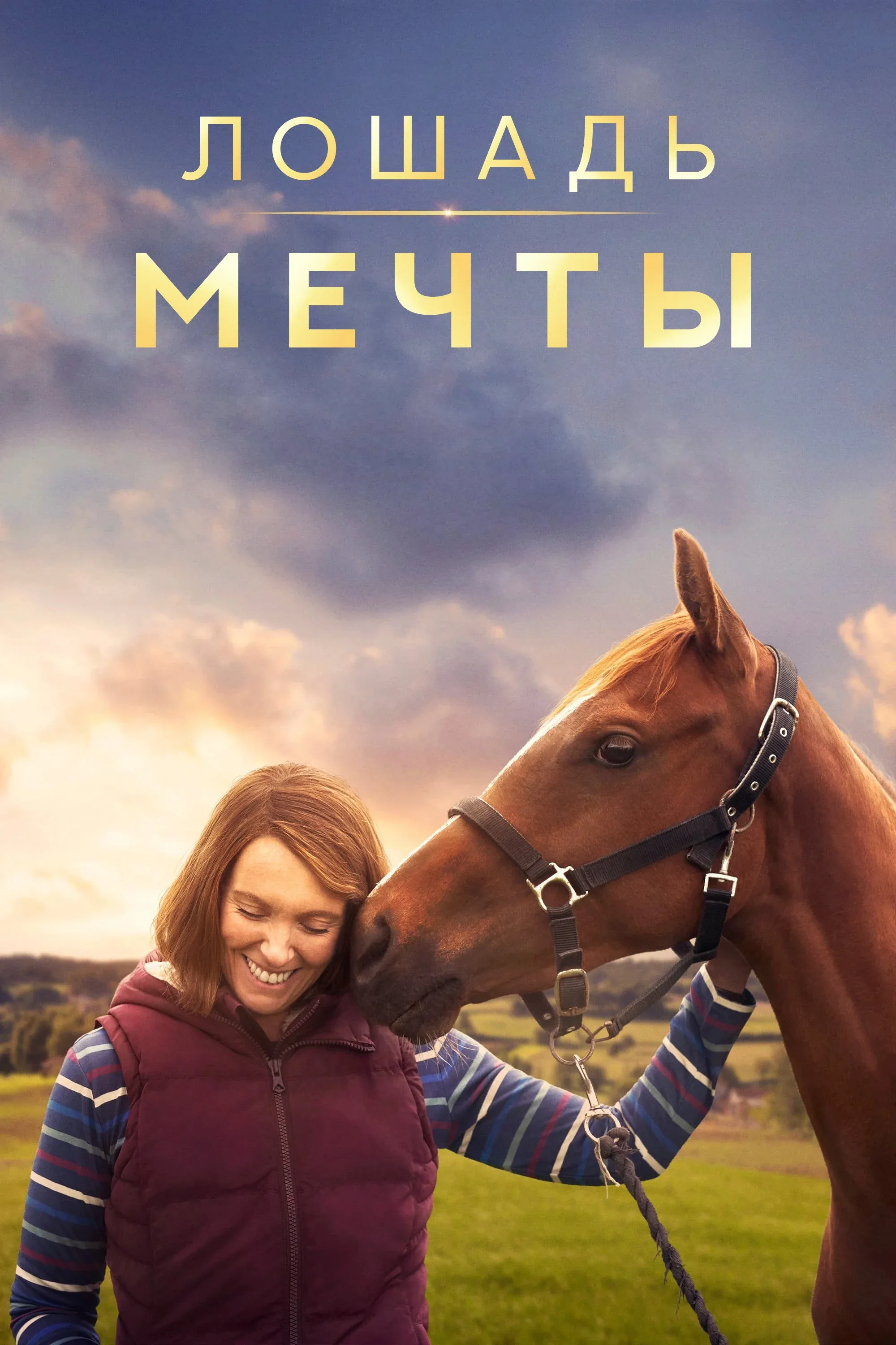 Постер фильма Лошадь мечты