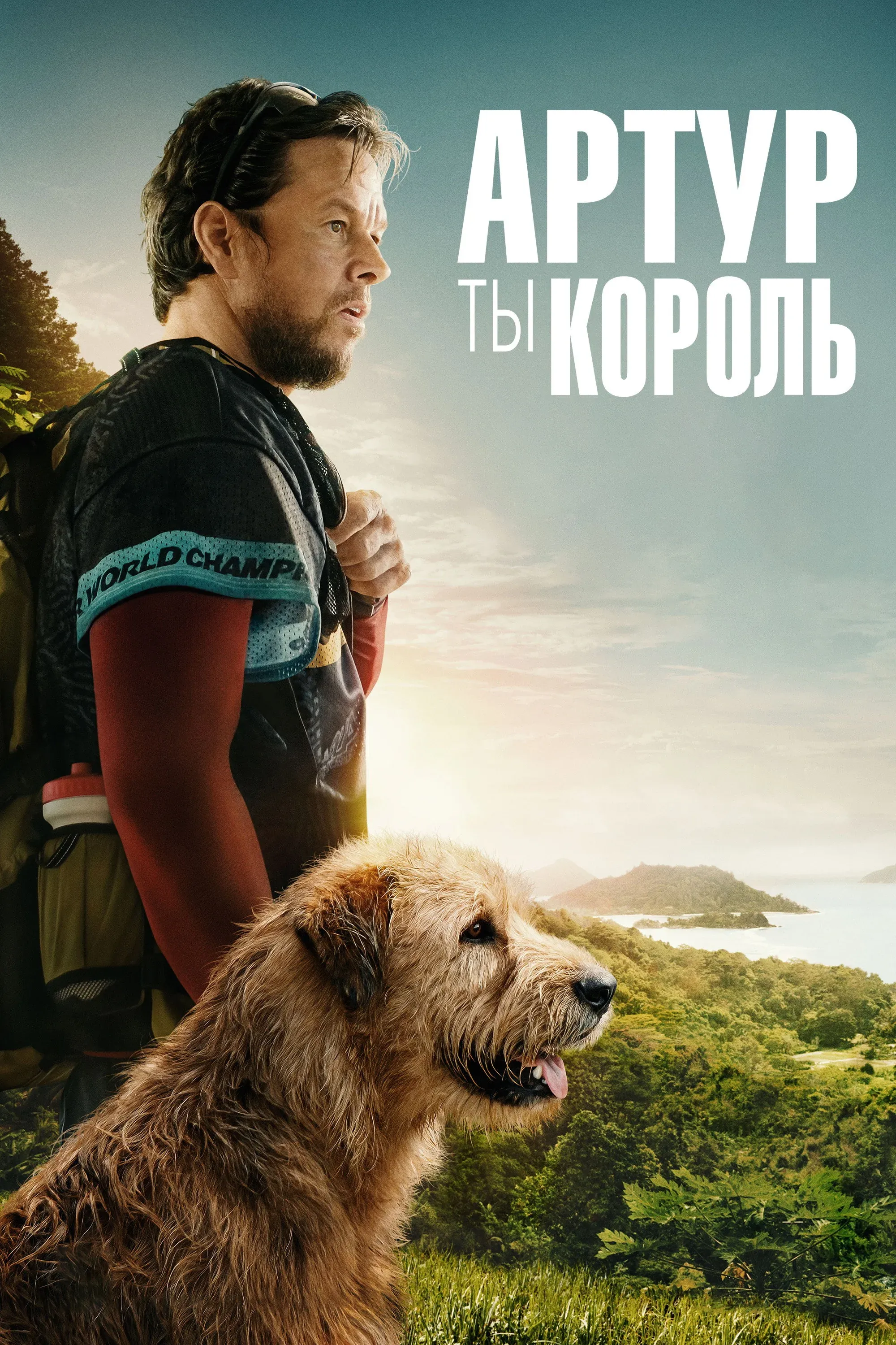 Постер фильма Артур, ты король