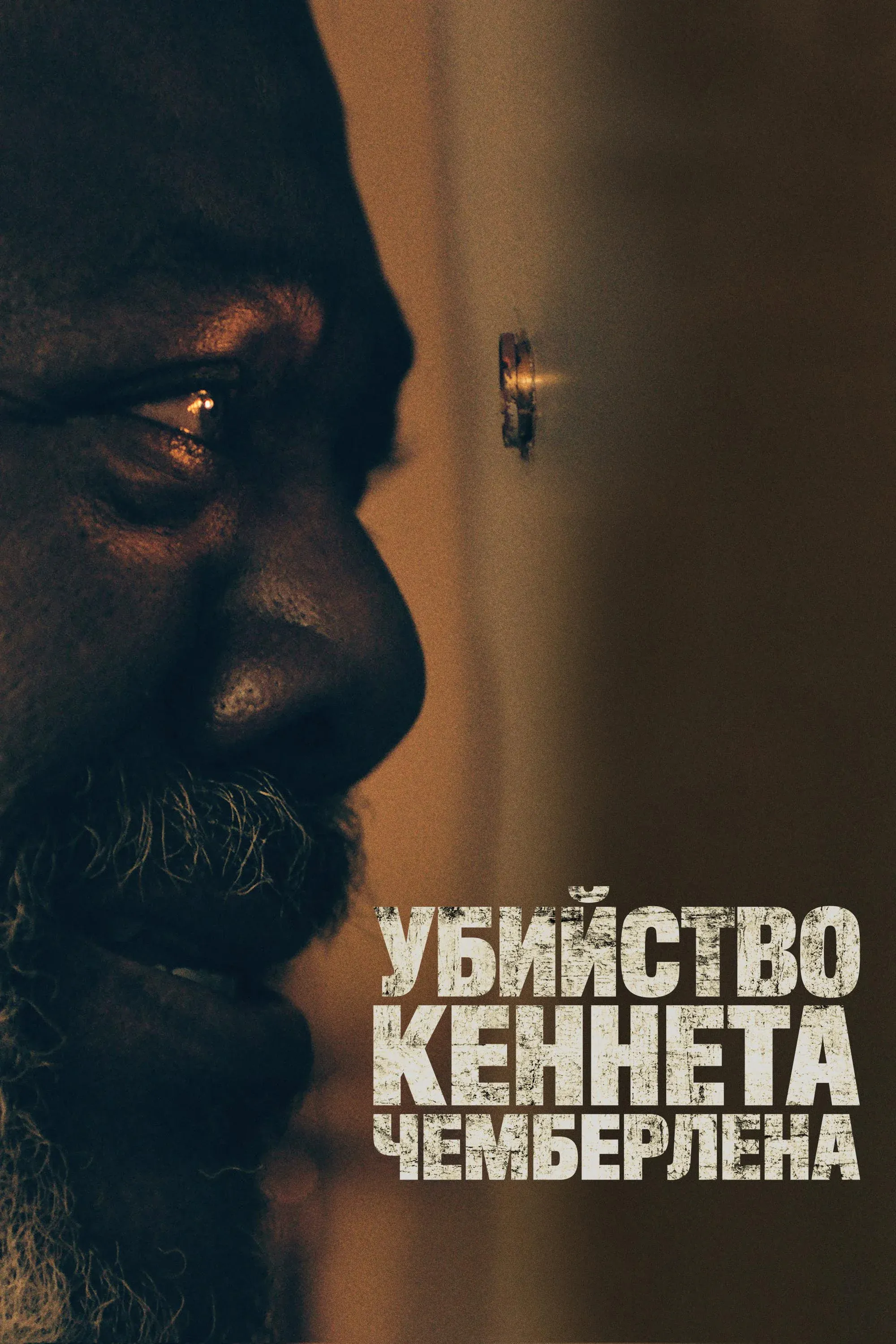 Постер фильма Убийство Кеннета Чемберлена