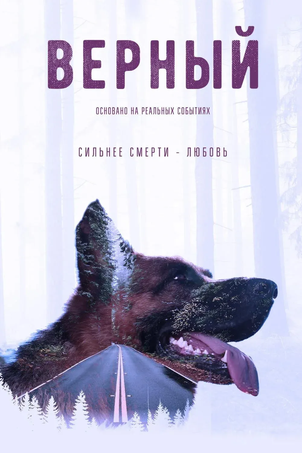 Постер фильма Верный