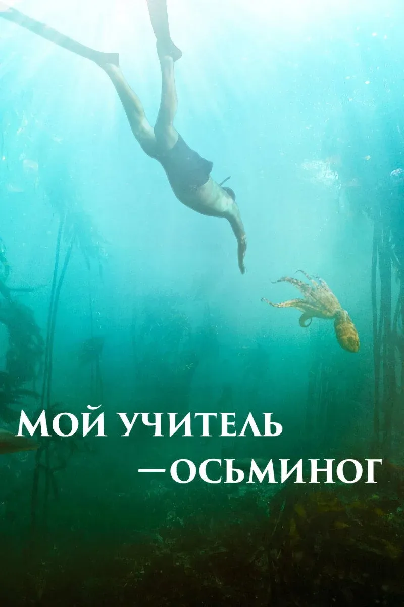 Постер фильма Мой учитель – осьминог