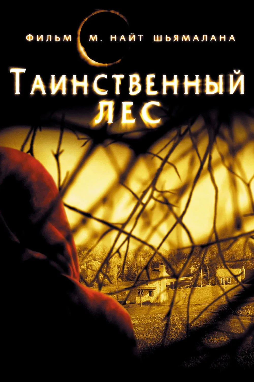 Постер фильма Таинственный лес