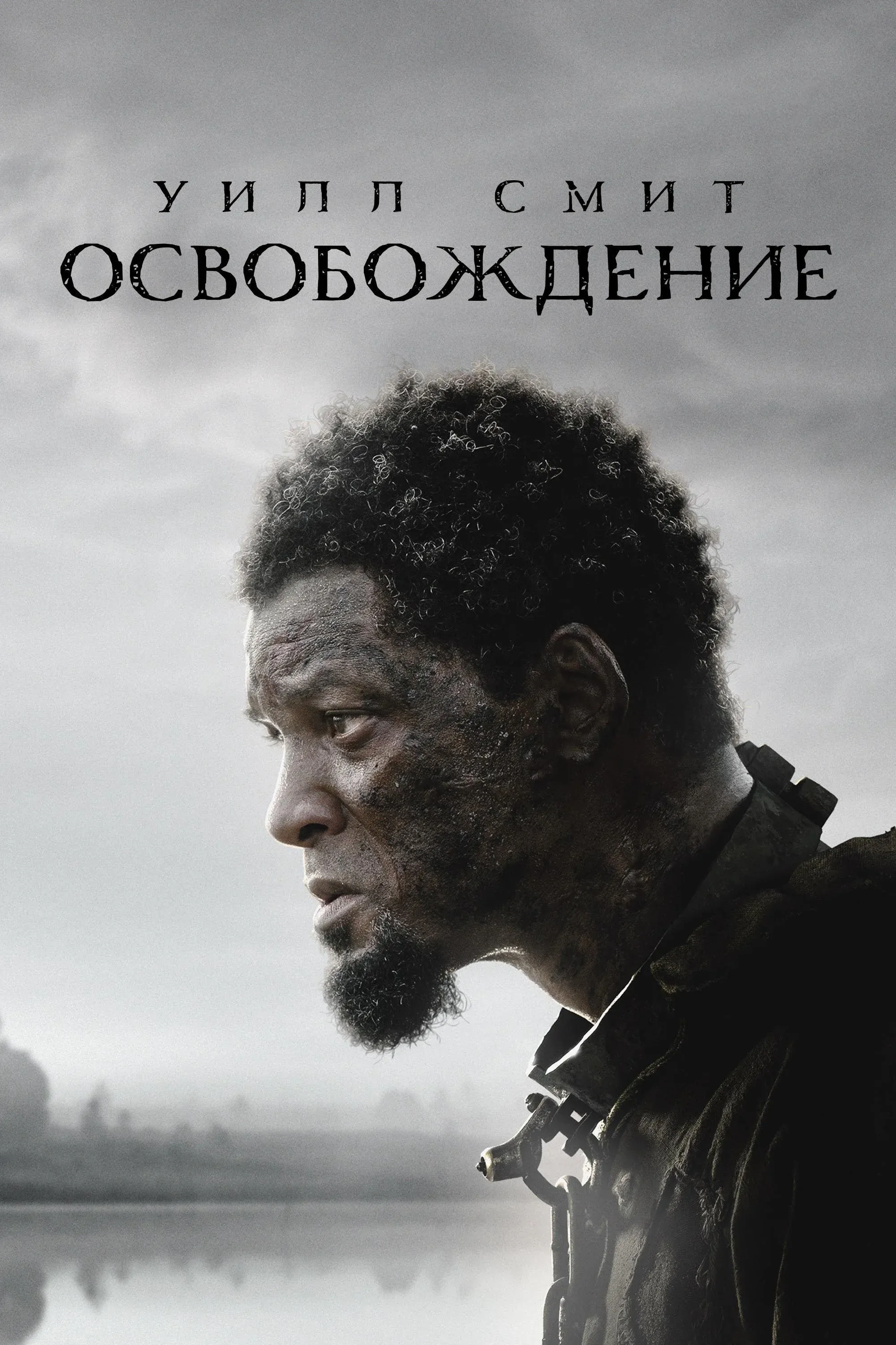 Постер фильма Освобождение
