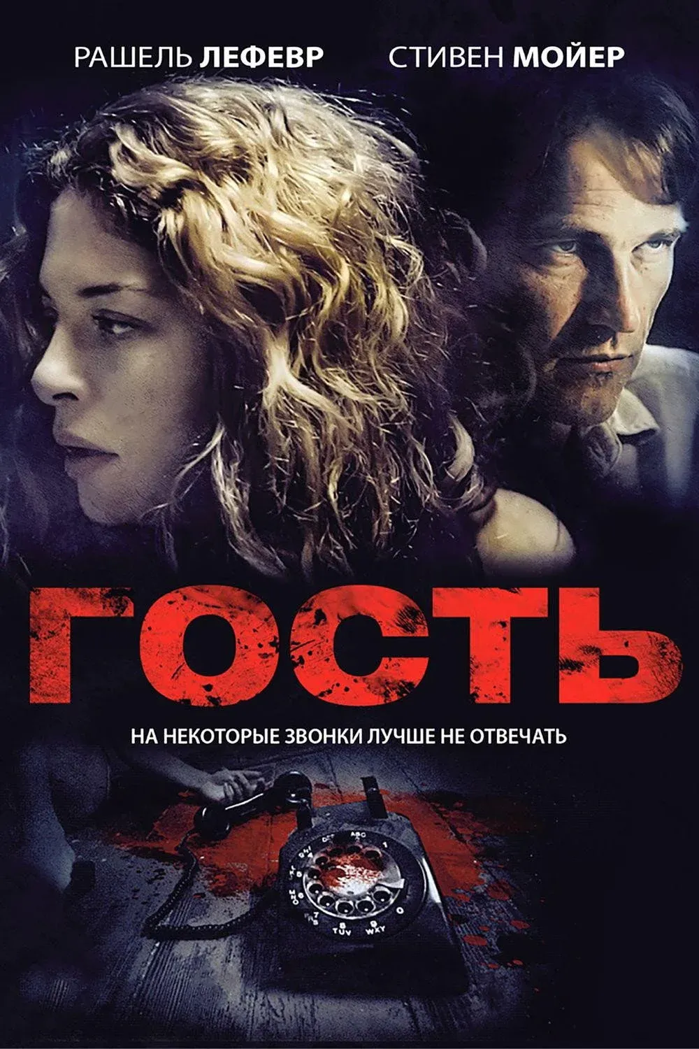 Постер фильма Гость