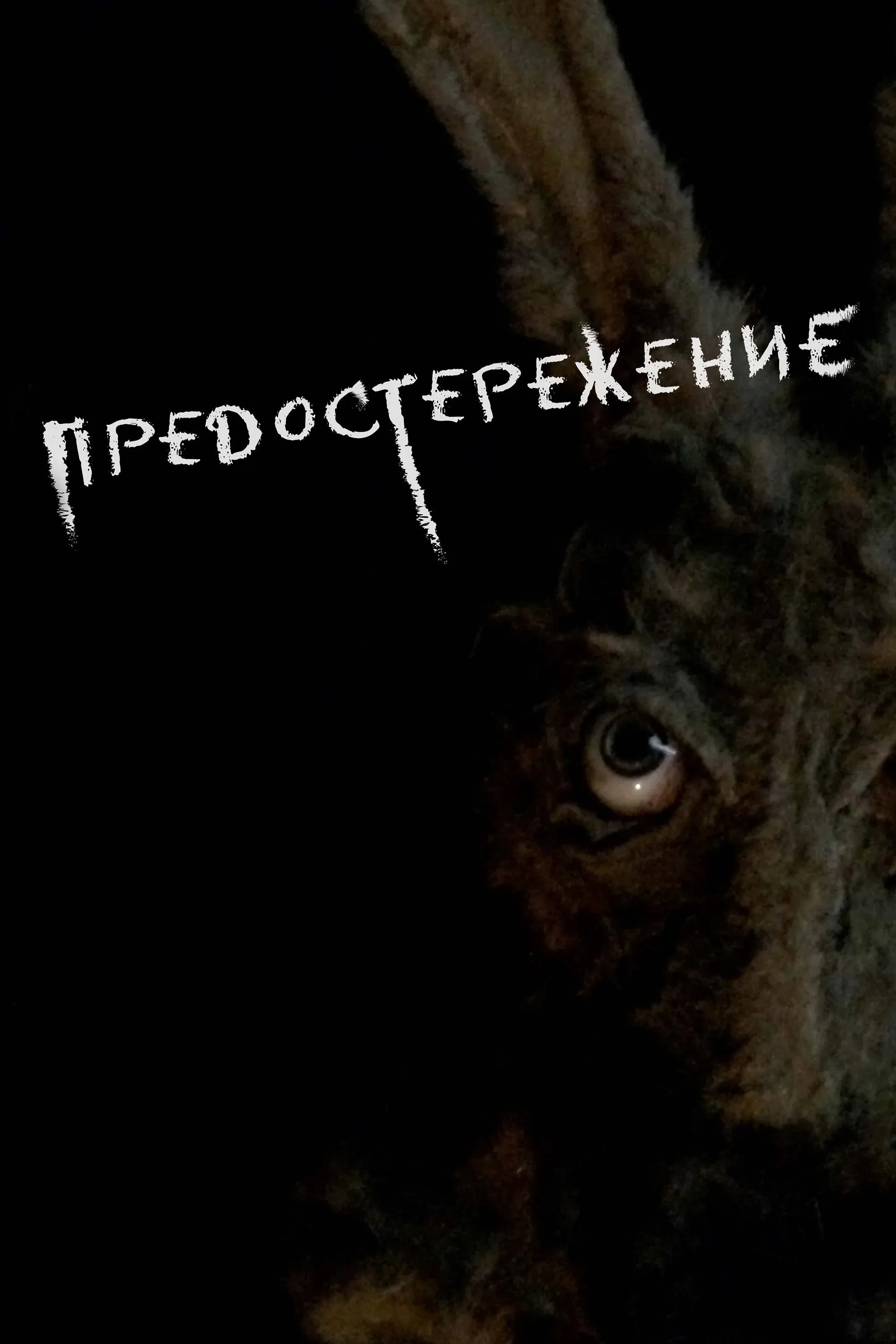 Постер фильма Предостережение
