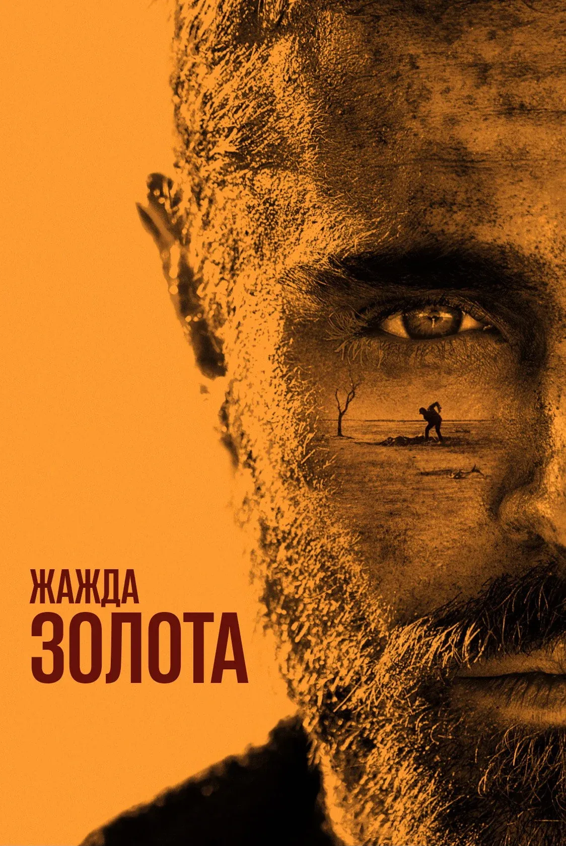 Постер фильма Жажда золота