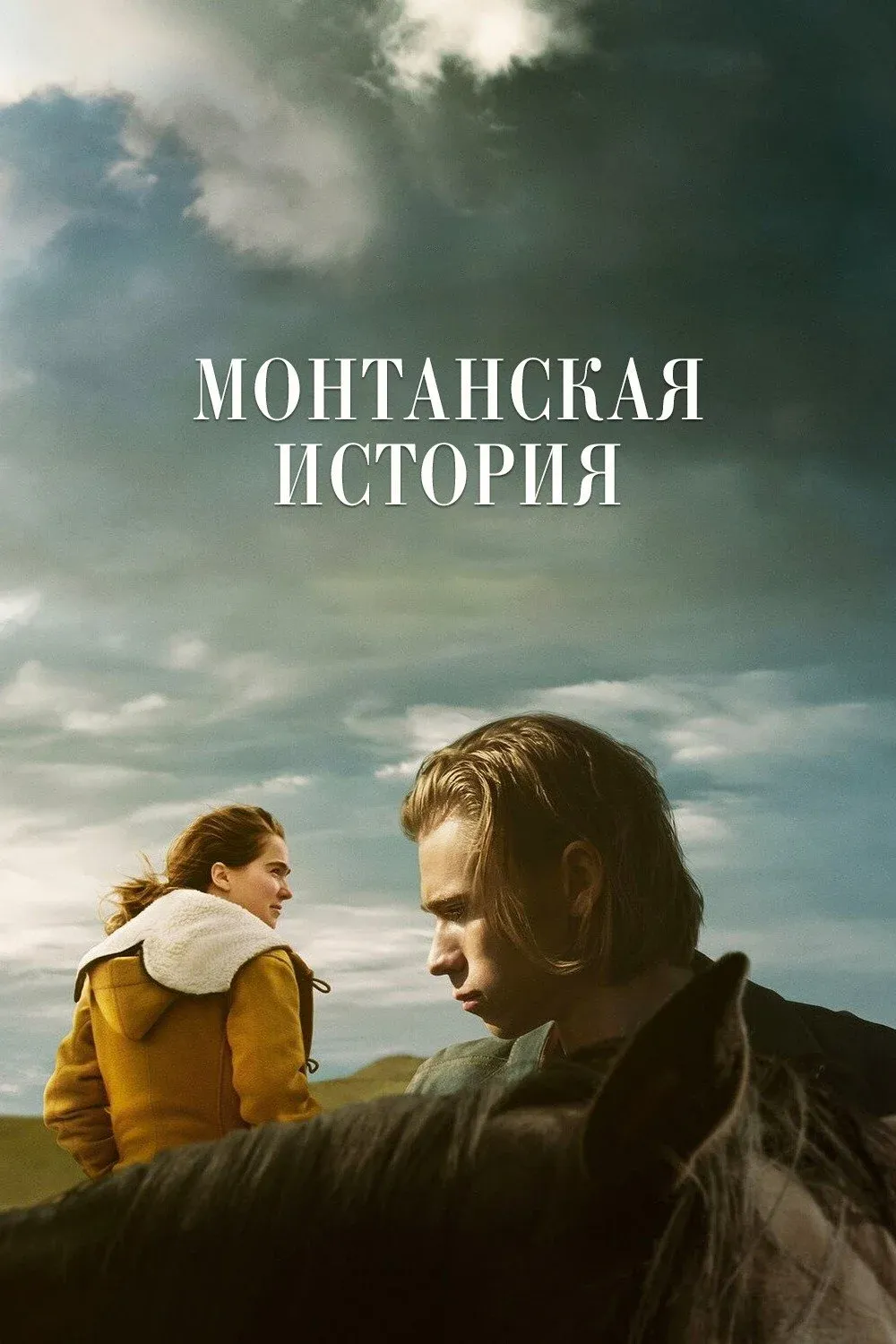 Постер фильма Монтанская история