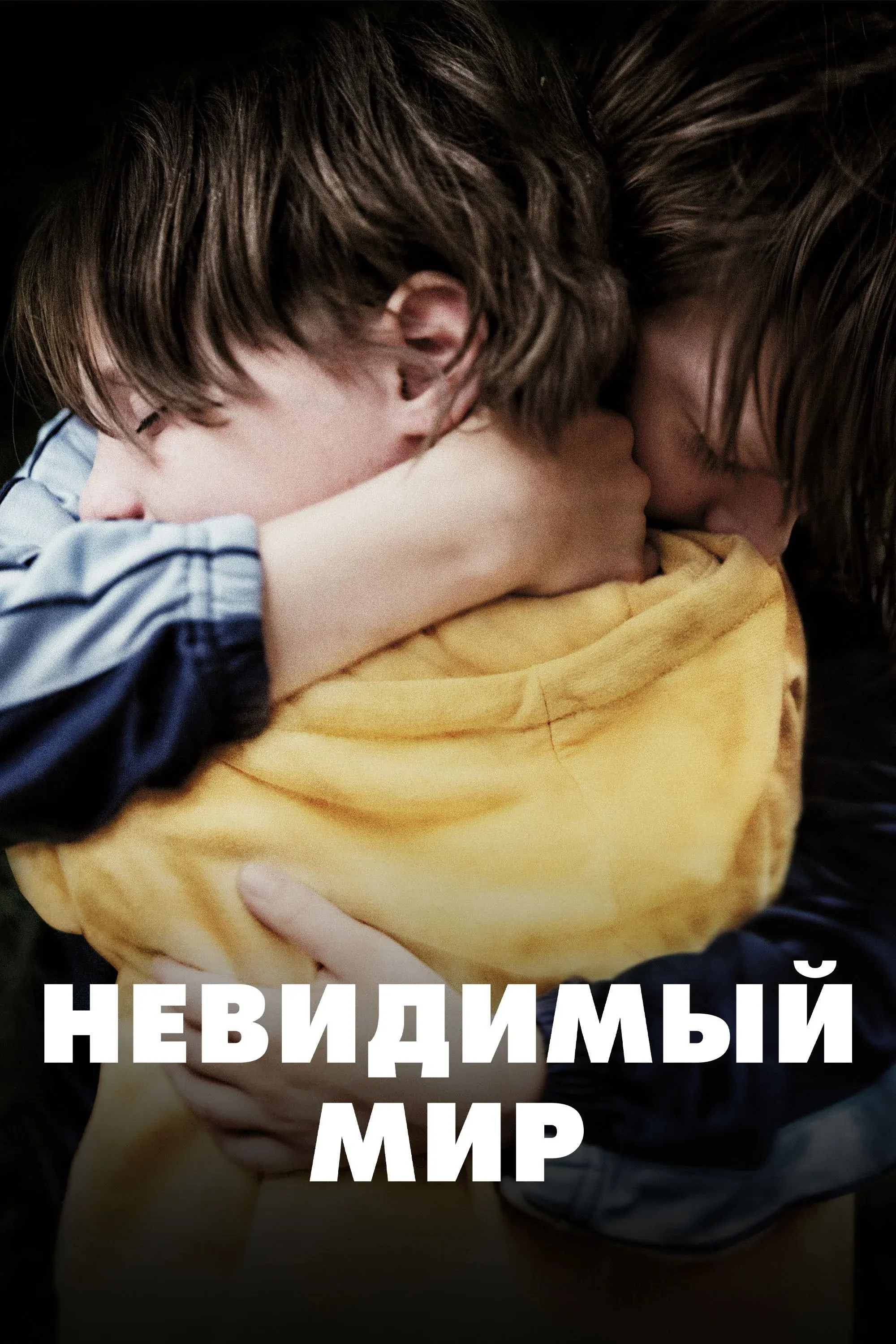Постер фильма Невидимый мир