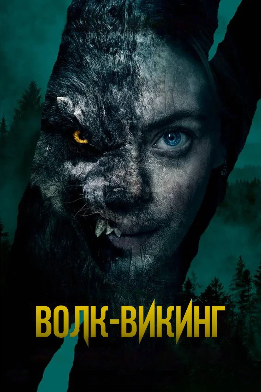 Постер фильма Волк-викинг