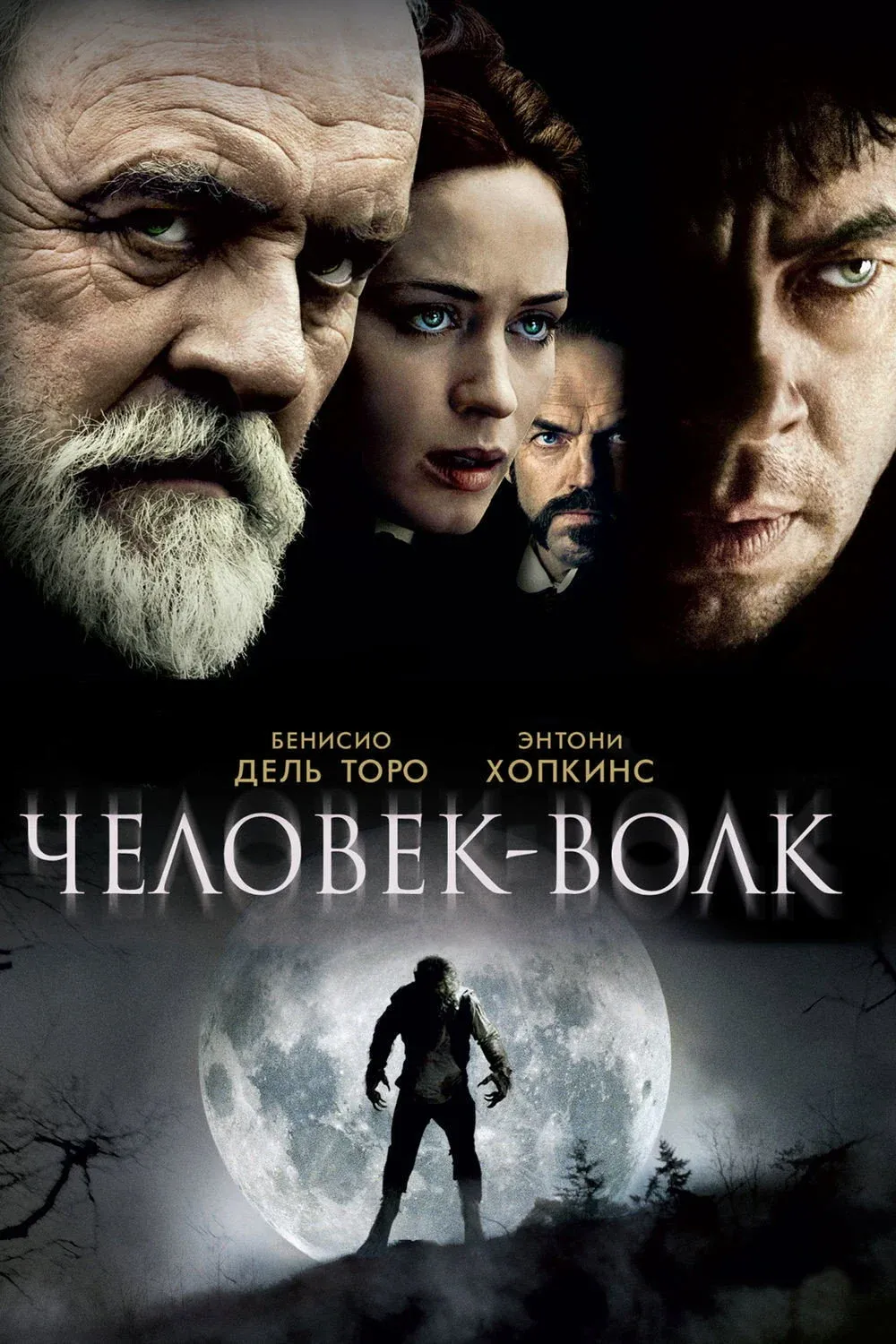 Постер фильма Человек-волк