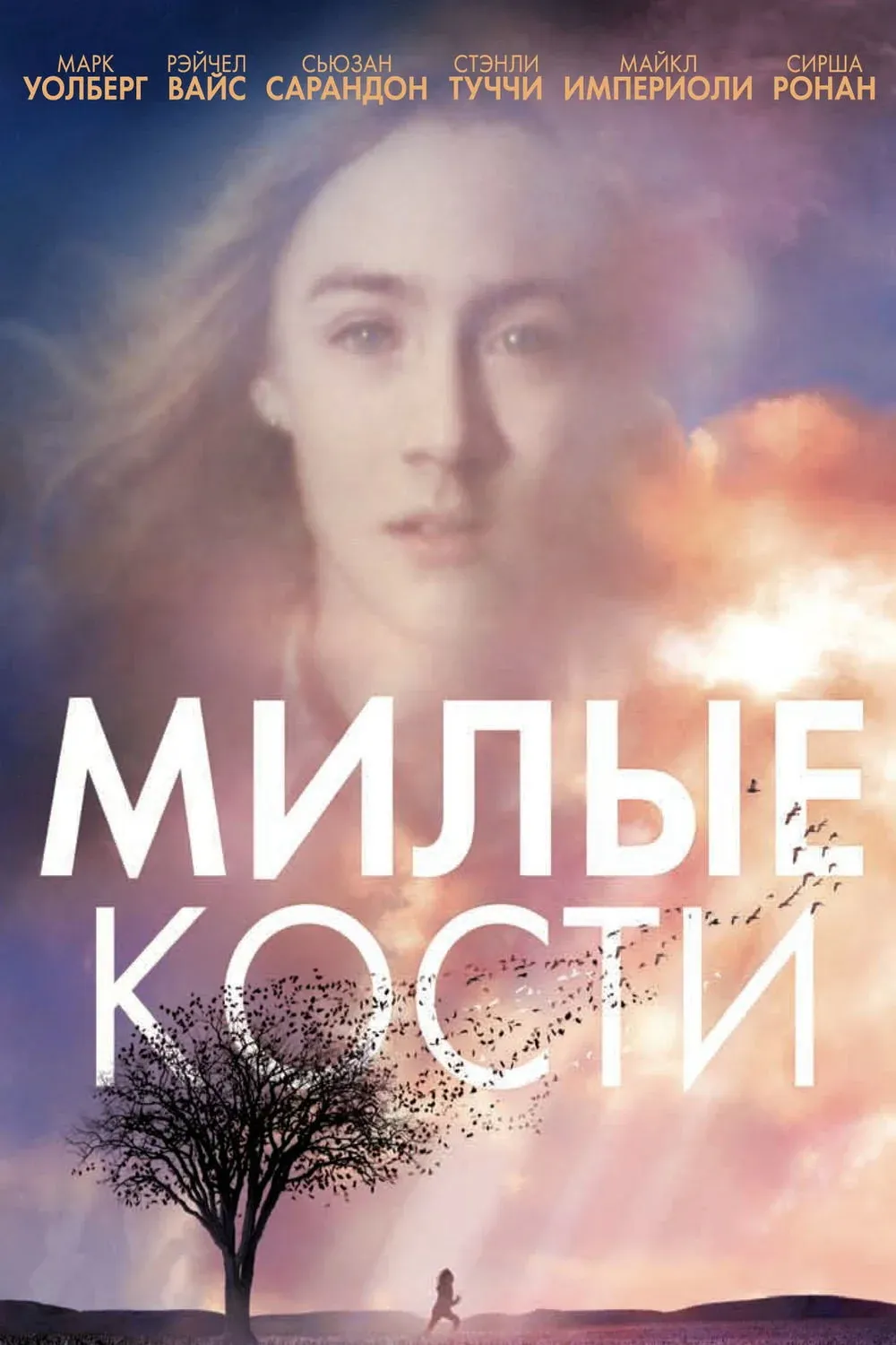 Постер фильма Милые кости