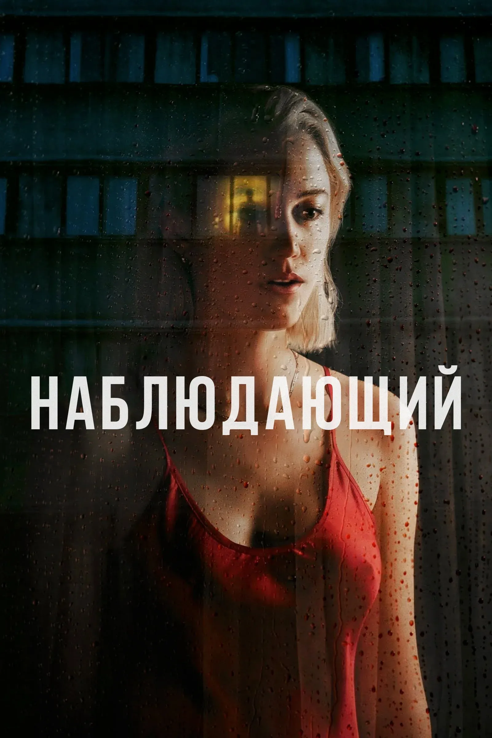 Постер фильма Наблюдающий